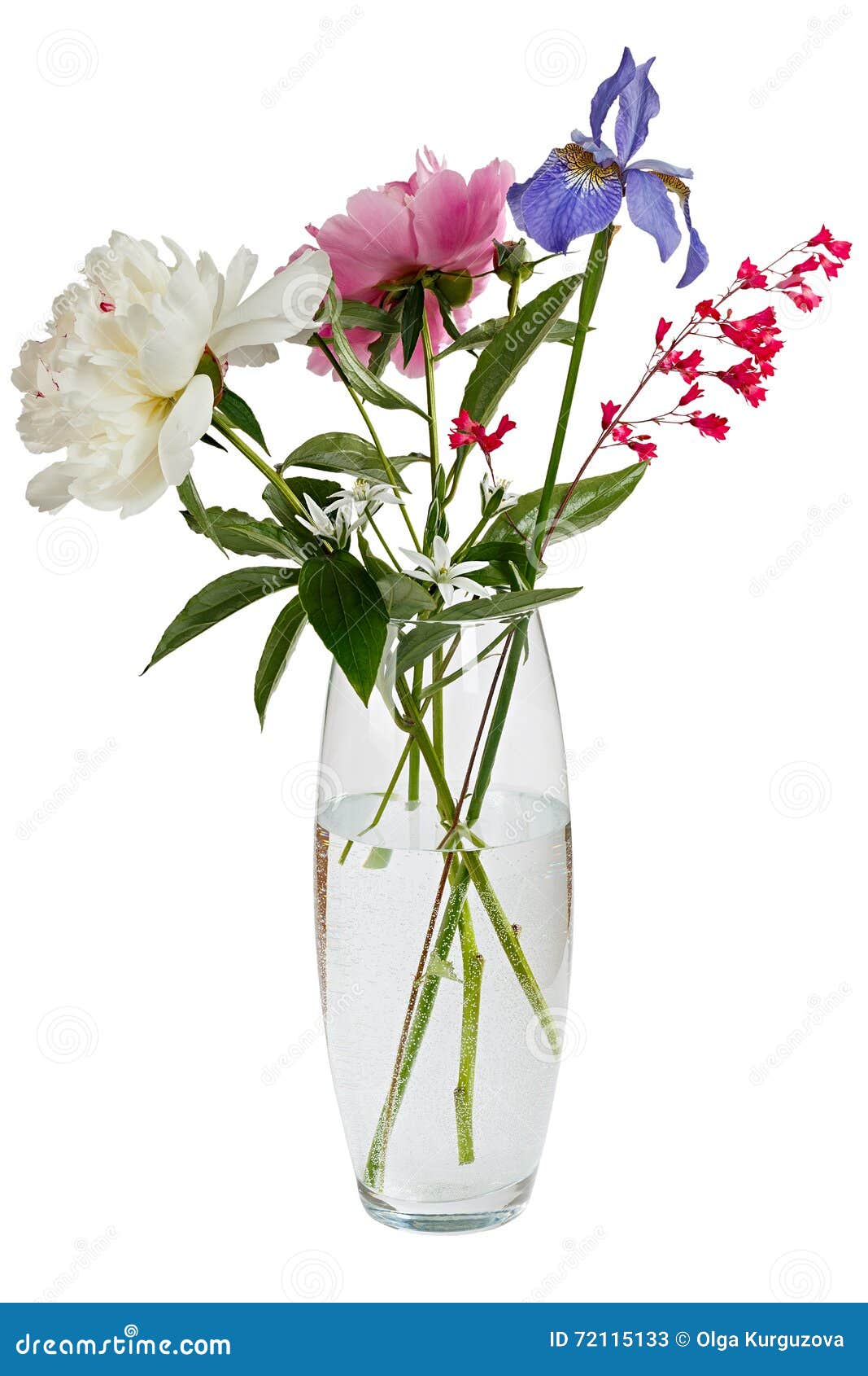花开花的花束在一个透明花瓶的用水库存图片 图片包括有