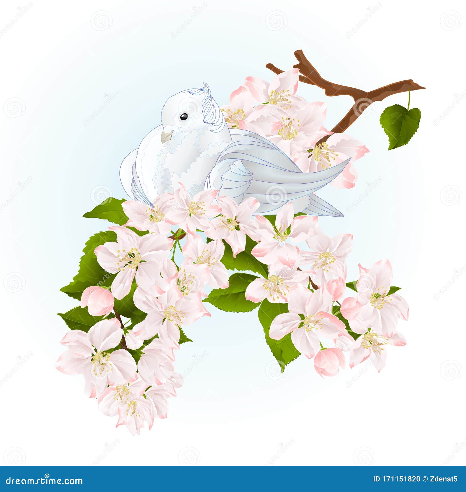 花春背景水色复古矢量图在苹果树枝上的鸟白小鸽鸠向量例证 插画包括有查出 本质 纯度 题头 花春背景水色复古矢量图在苹果树枝上的鸟白小鸽鸠向量例证 插画包括有查出 本质 纯度 题头