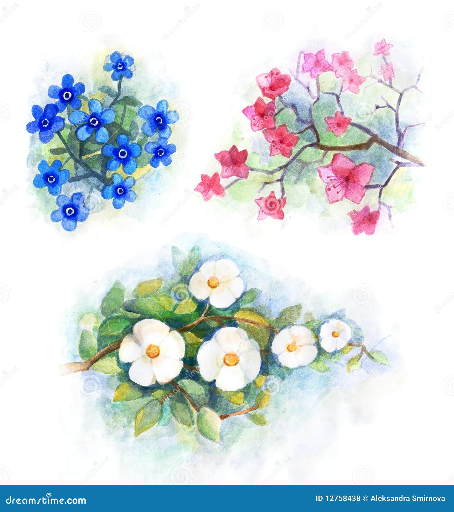 花水彩库存例证 插画包括有夏天 例证 查出 唯一 春天 叶子 纹理 图画 油漆 橙色 花水彩库存例证 插画包括有夏天 例证 查出 唯一 春天 叶子 纹理 图画 油漆 橙色