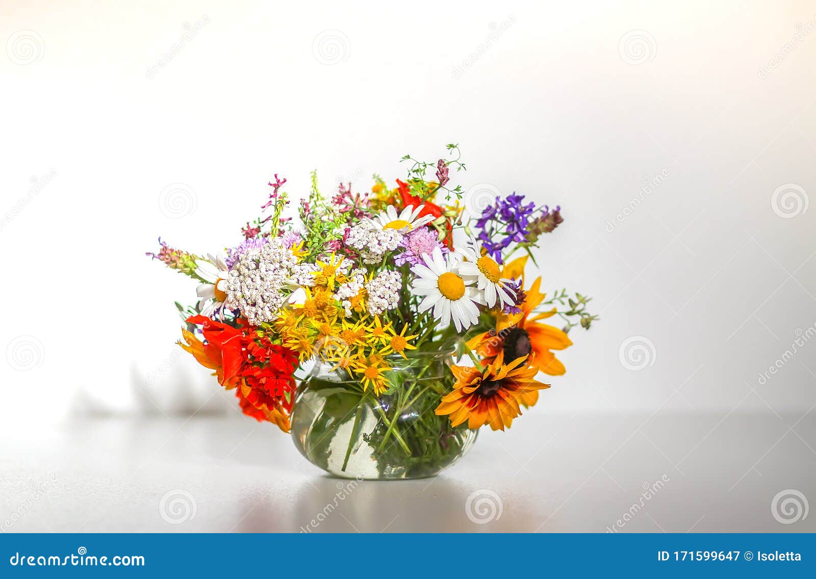 花瓶中夏花的美花库存图片 图片包括有花瓶中夏花的美花