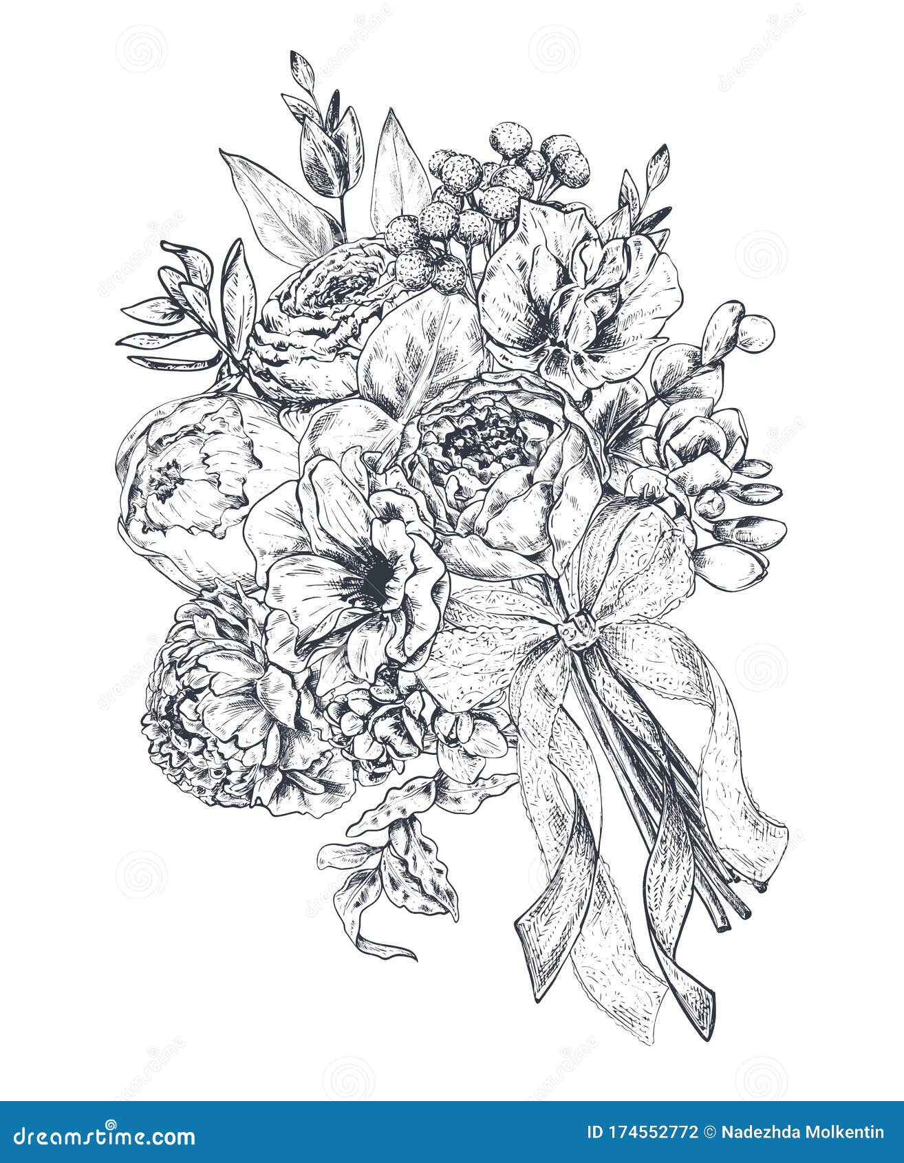 花组合物手绘花 植物 缎带的花束单色矢量插图向量例证 插画包括有庆祝 花卉 问候 绽放 花组合物手绘花 植物 缎带的花束单色矢量插图向量例证 插画包括有庆祝 花卉 问候 绽放