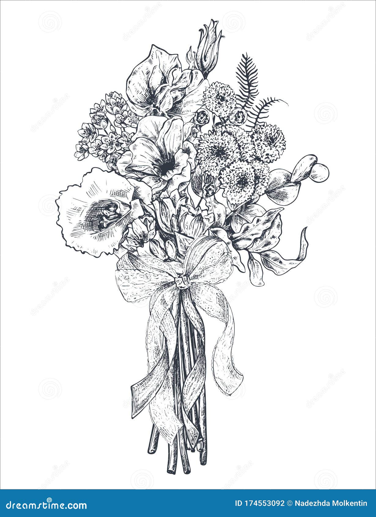 花组合物手绘花 植物 缎带的花束单色矢量插图向量例证 插画包括有构成 高雅 图画 收集 花组合物手绘花 植物 缎带的花束单色矢量插图向量例证 插画包括有构成 高雅 图画 收集