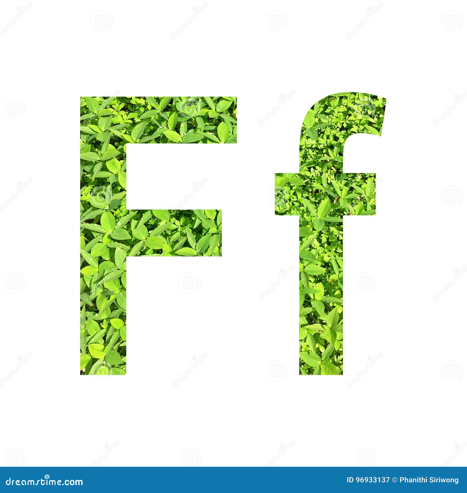 英语字母表a œf 由绿草做的fa 在隔绝的白色背景库存例证 插画包括有特写镜头 本质