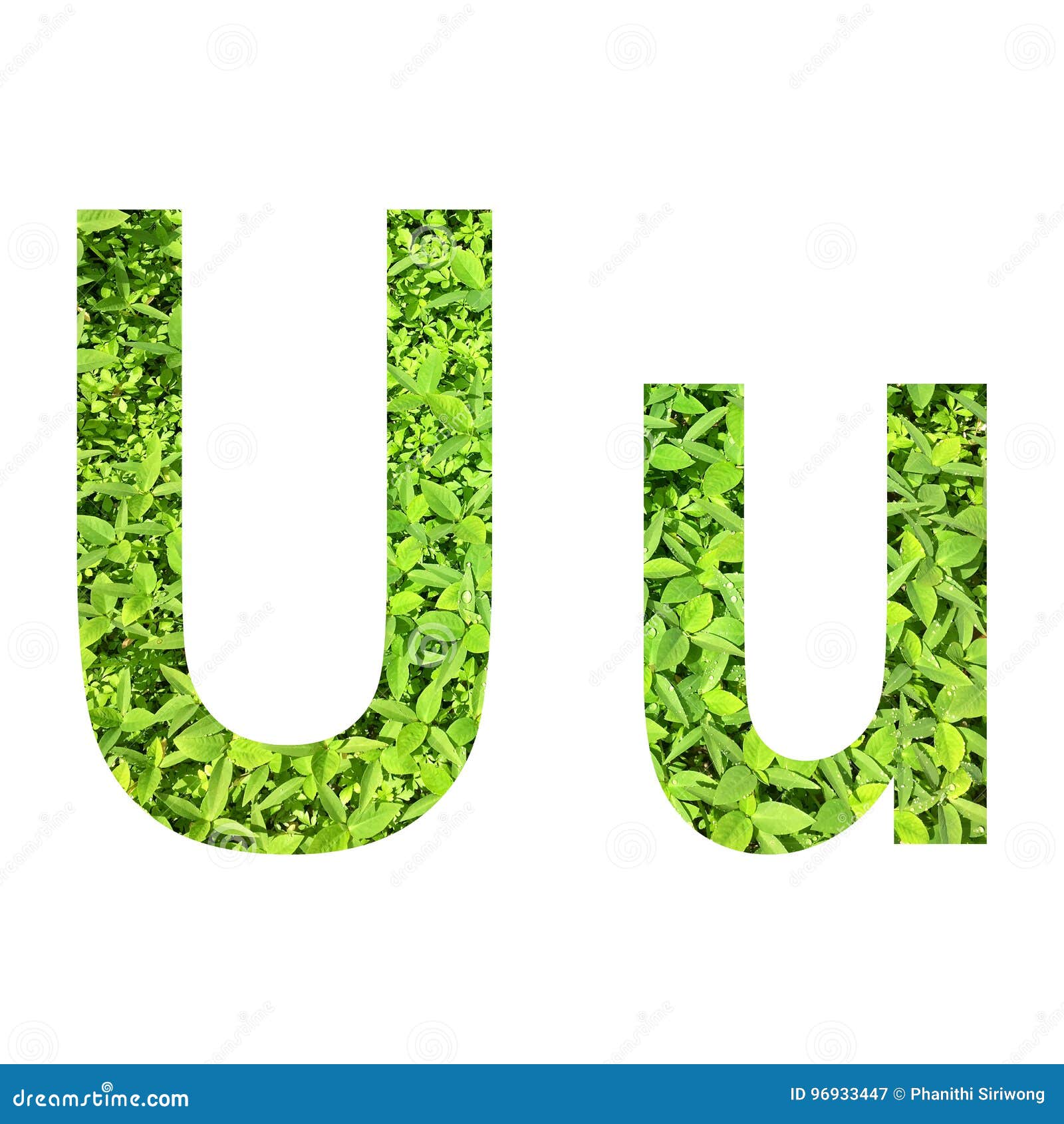 英语字母表a œu 由绿草做的ua 在隔绝的白色背景库存例证 插画包括有在隔绝的白色背景 由绿草做的ua