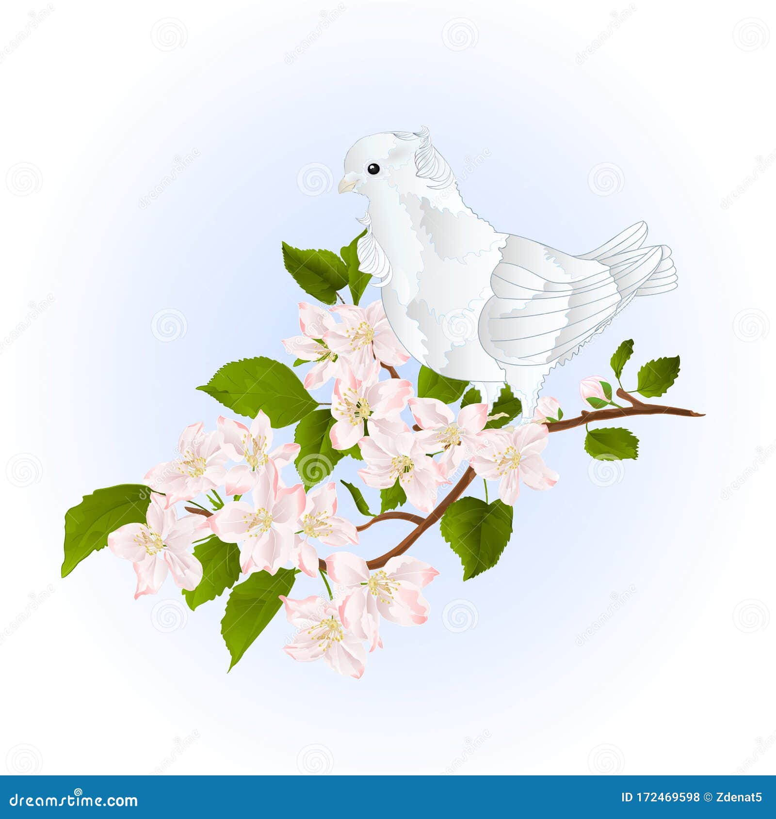 苹果树枝上带花春背景水色复古矢量图的鸽鸟白小鸽向量例证 插画包括有图象 蓝鸫 颜色 羽毛 苹果树枝上带花春背景水色复古矢量图的鸽鸟白小鸽向量例证 插画包括有图象 蓝鸫 颜色 羽毛