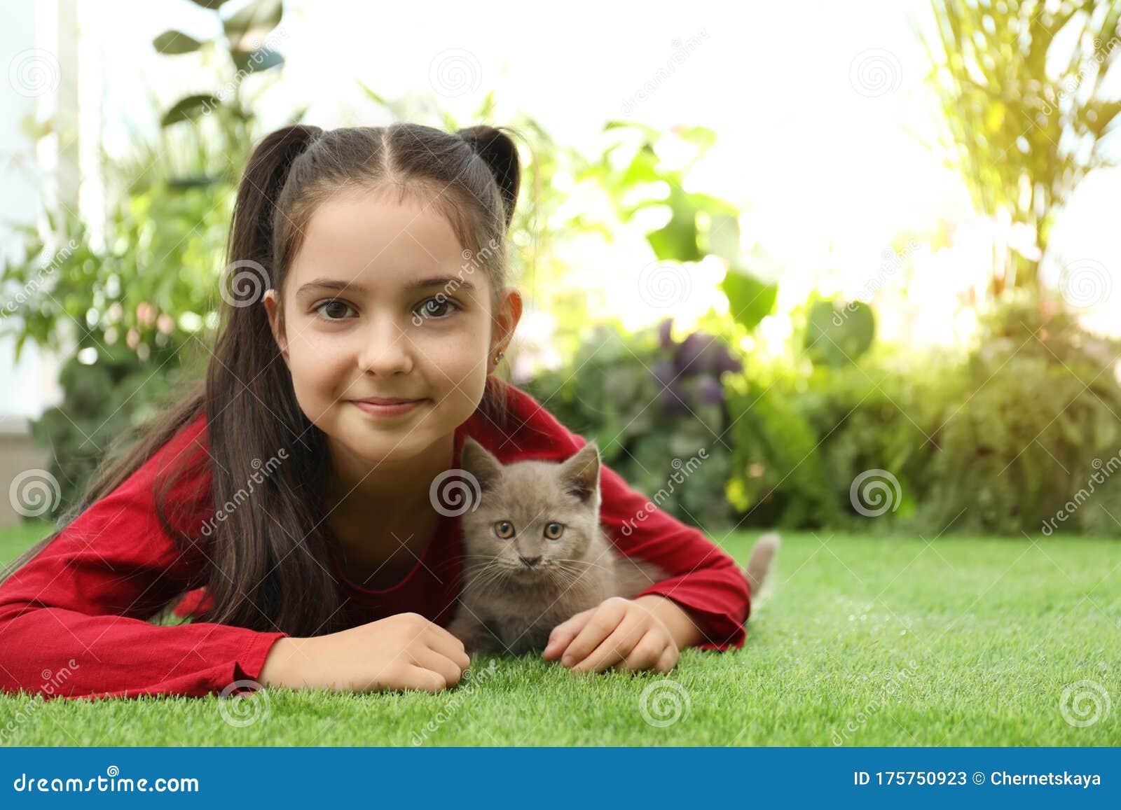 草地上有苏格兰直毛猫的女孩库存图片 图片包括有小猫 婴孩 滑稽 毛皮 花卉 女孩 逗人喜爱 草地上有苏格兰直毛猫的女孩库存图片 图片包括有小猫 婴孩 滑稽 毛皮 花卉 女孩 逗人喜爱