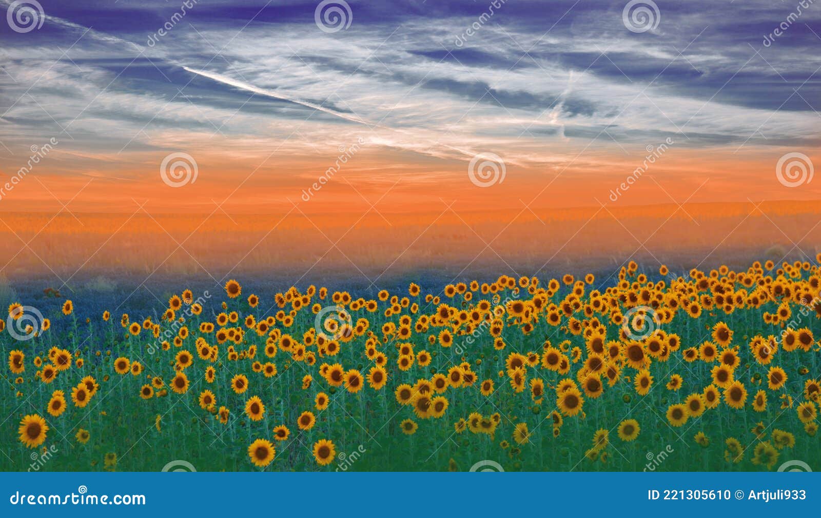 葵花田夏日阳光灿烂的自然背景艺术壁纸艺术摄影夏日天花云 库存照片 图片包括有农场 国界的