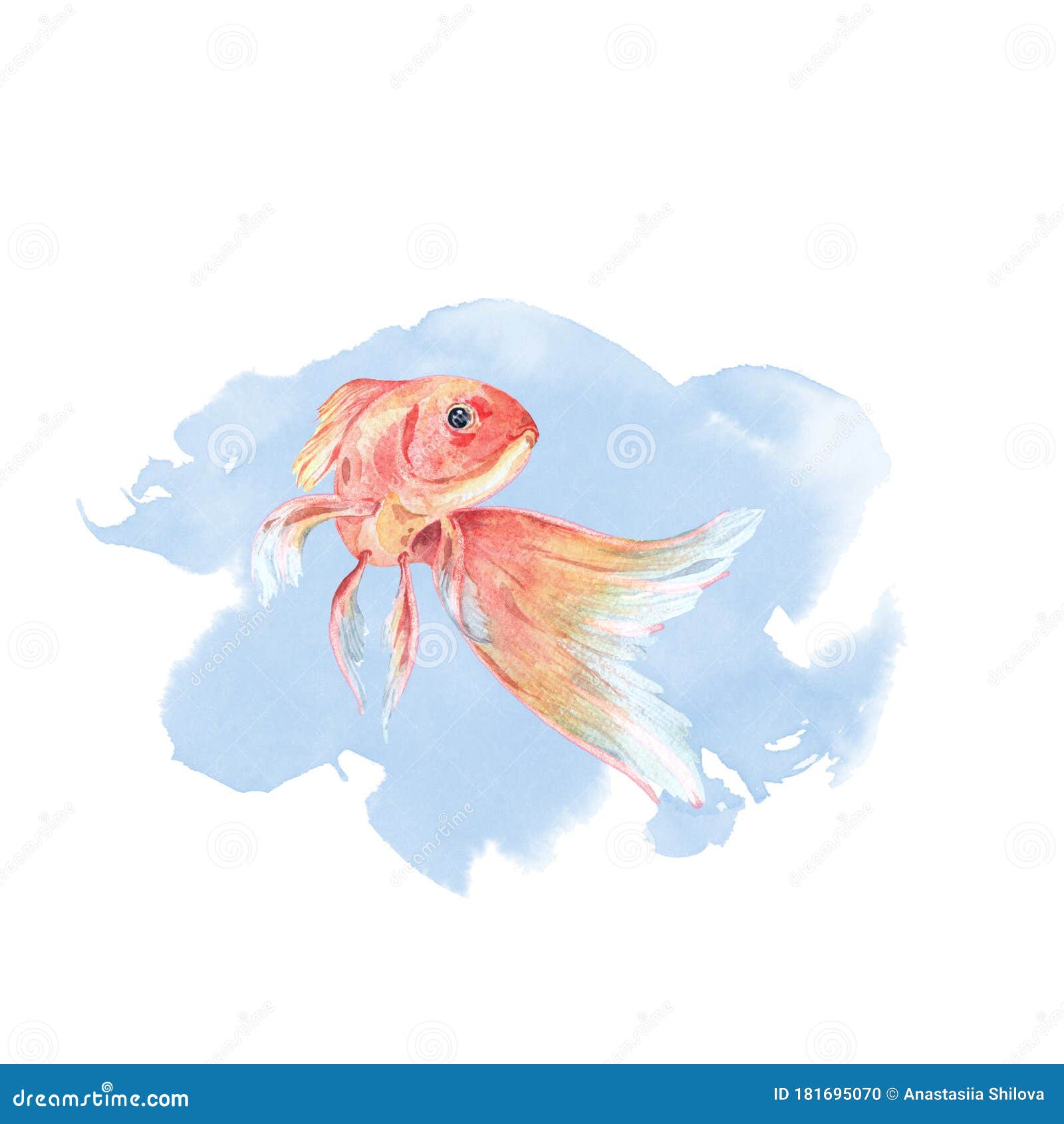 蓝水色背景中的金鱼3 手绘水彩插图库存例证 插画包括有日本 图象 金子 动画片 本质