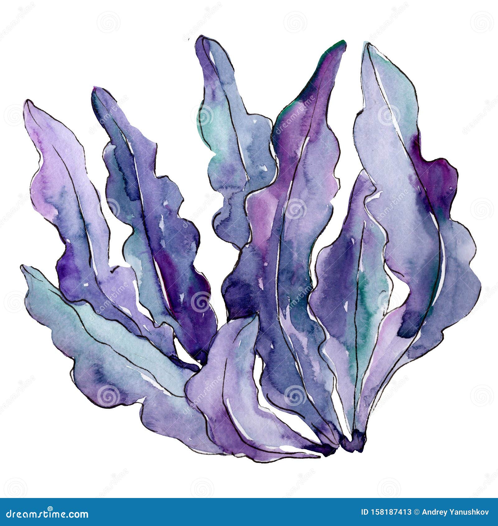 蓝色水下自然珊瑚礁水彩背景插图集库存图片 图片包括有海带 水生 本质 背包 珊瑚 工厂