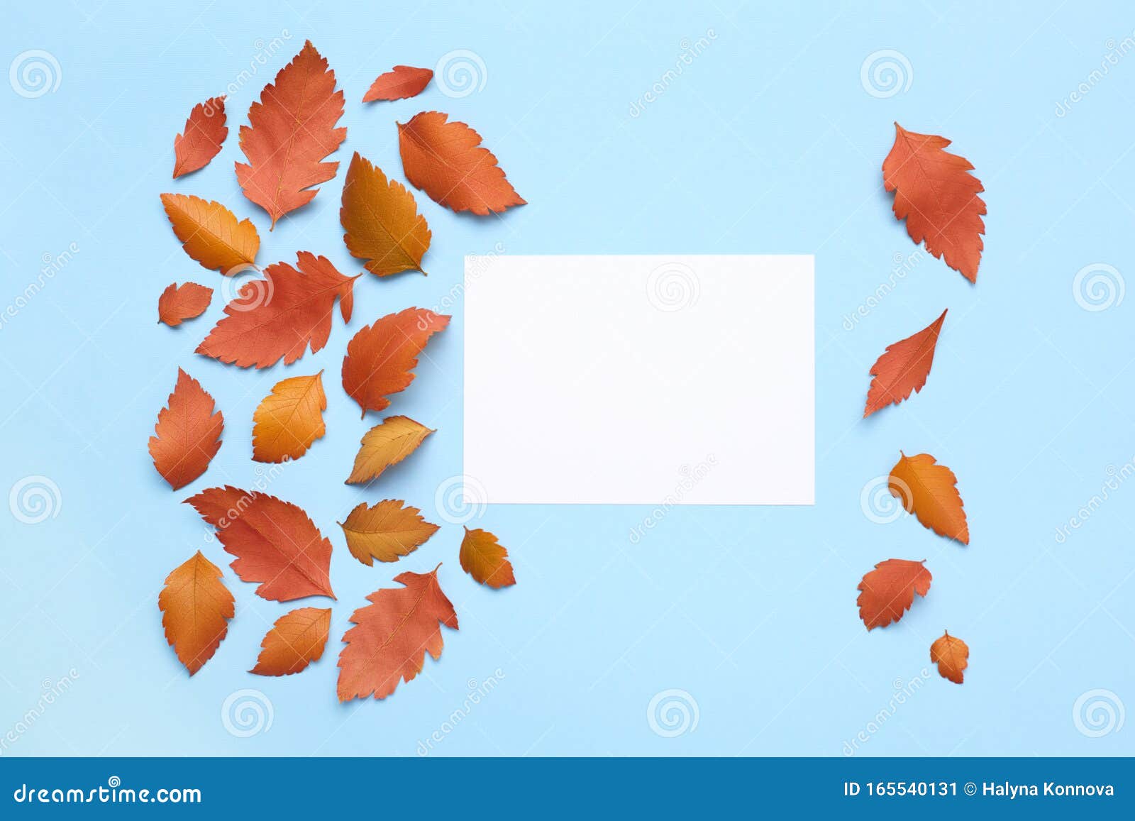 蓝色背景上有明信片的红叶秋观库存图片 图片包括有舒适 烘干 降低 位置 艺术 创造性