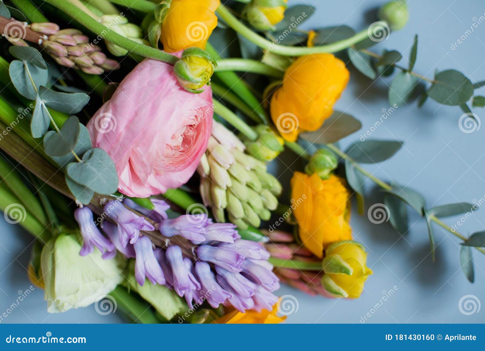 蓝色背景中带橙色和粉色小红树花 桉树和风信子的美丽花束背景中的花库存照片 图片包括有典雅 玉树