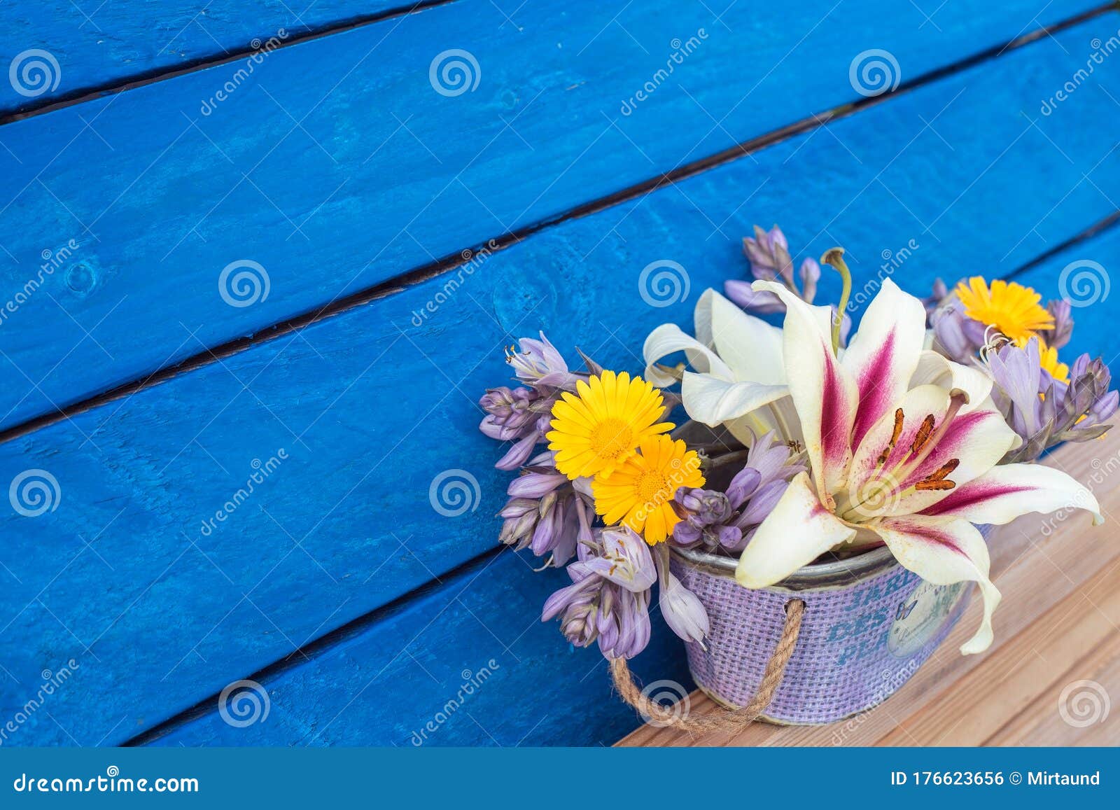 蓝色背景中的小花束 花园鲜花库存照片 图片包括有蓝色背景中的小花束 花园鲜花
