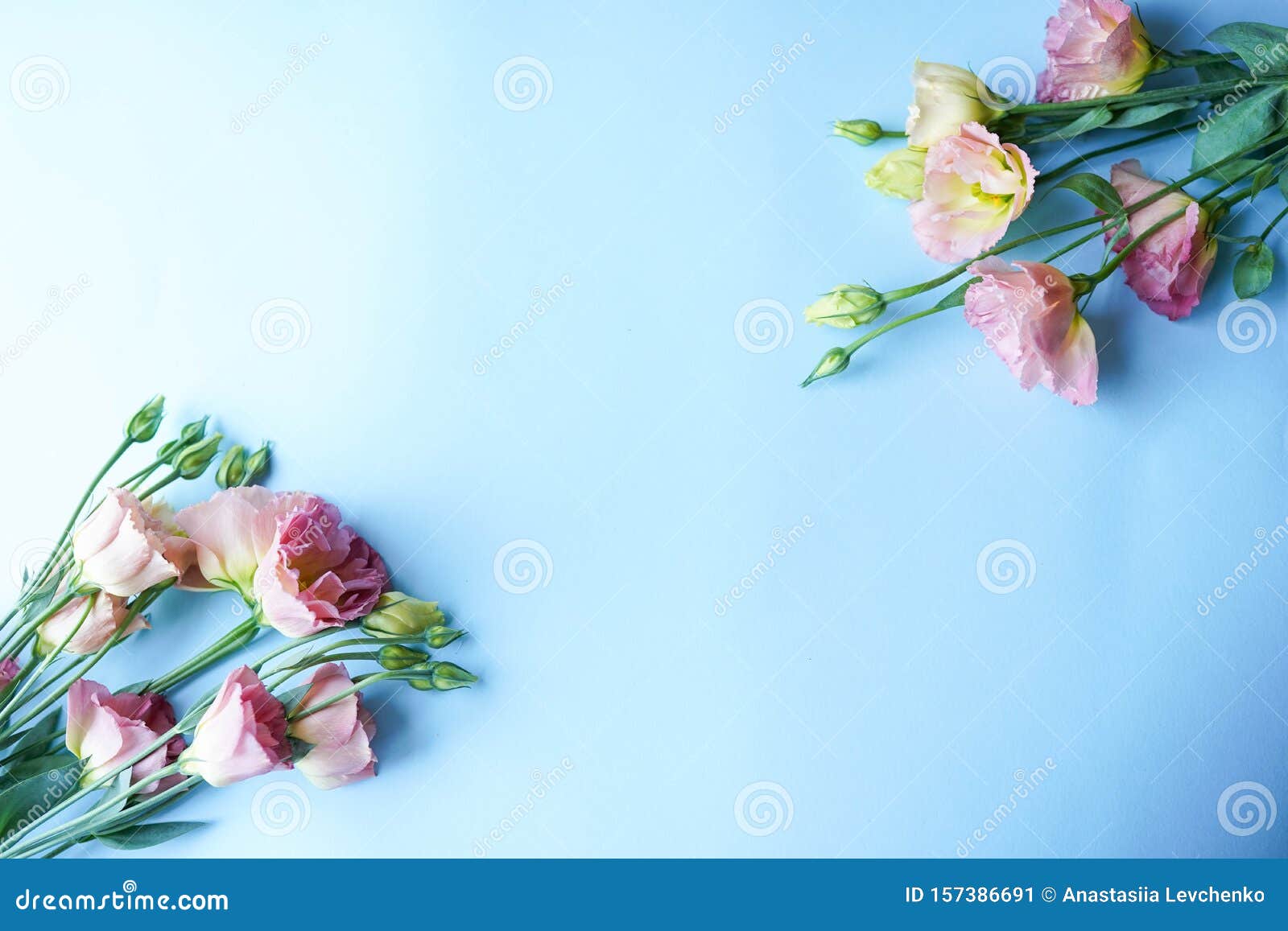 蓝色背景 鲜花 庆祝生日 结婚卡复制空间库存图片 图片包括有 蓝色背景 鲜花 庆祝生日 结婚卡复制空间库存图片 图片包括有