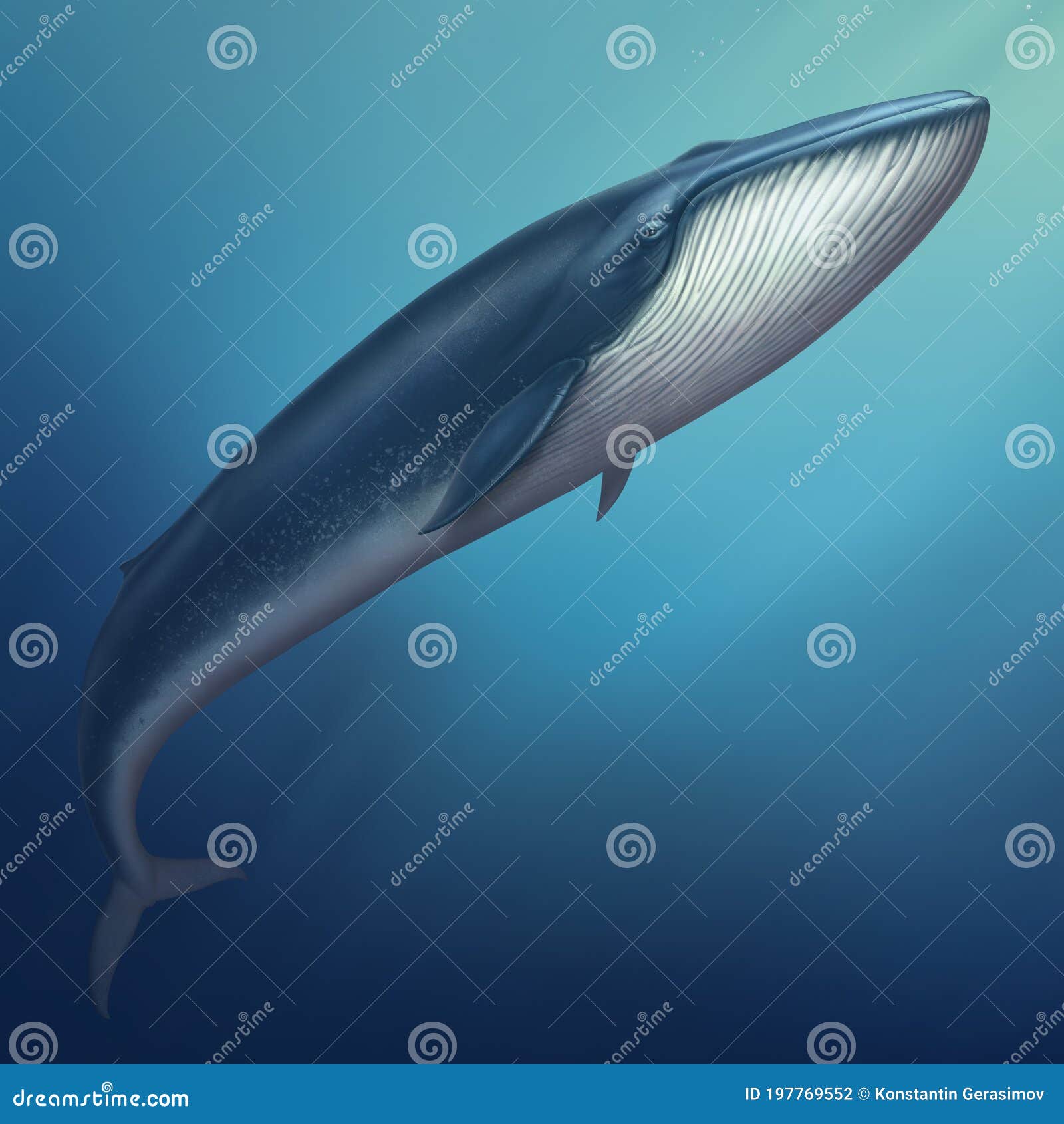 蓝鲸在水艺中游泳库存例证. 插画包括有行动, 背包, 抽象, 天空, 自然, 横向, 次幂, 海岸- 197769552