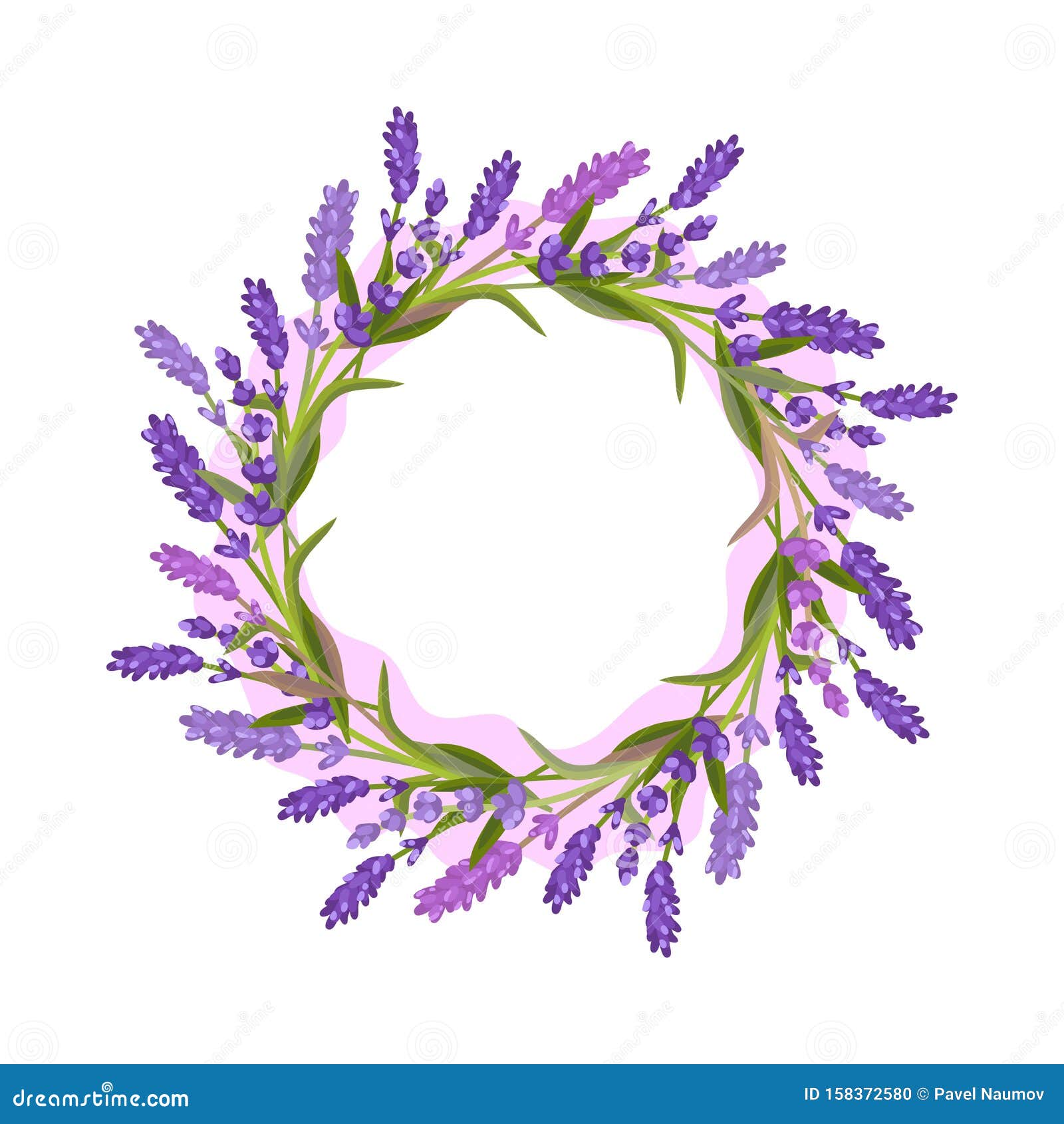薰衣草花圈白色背景上的矢量图插图向量例证 插画包括有装饰 样式 叶子 蓝色 浪漫 五颜六色 薰衣草花圈白色背景上的矢量图插图向量例证 插画包括有装饰 样式 叶子 蓝色 浪漫 五颜六色