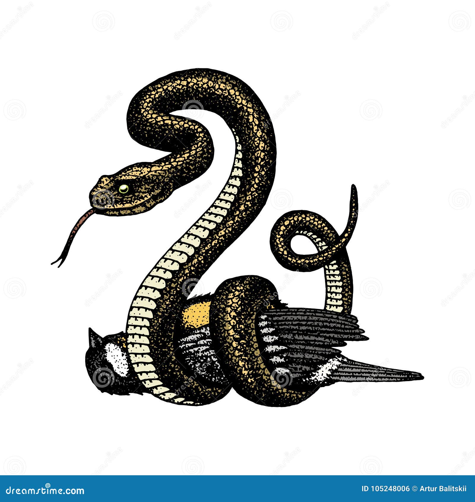 蛇蝎蛇蛇眼镜蛇和Python、水蟒或者蛇蝎，皇家刻记手拉在老剪影，葡萄酒样式为向量例证- 插画包括有题头, 爬行动物: 105248006