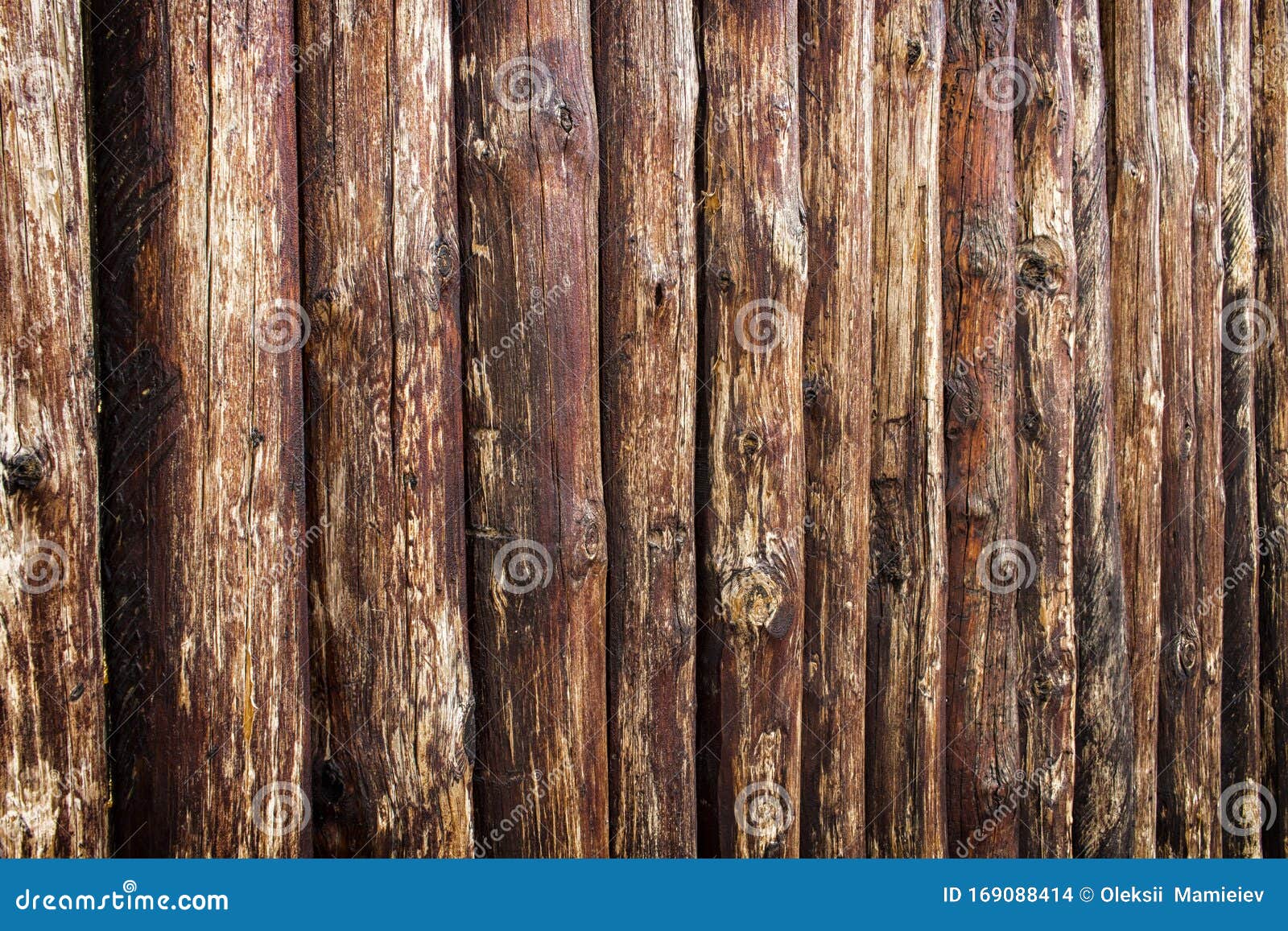表面加工树木木干背景库存照片 图片包括有年龄 黑暗 拱道 密集 处理 喜欢 镇压 堡垒