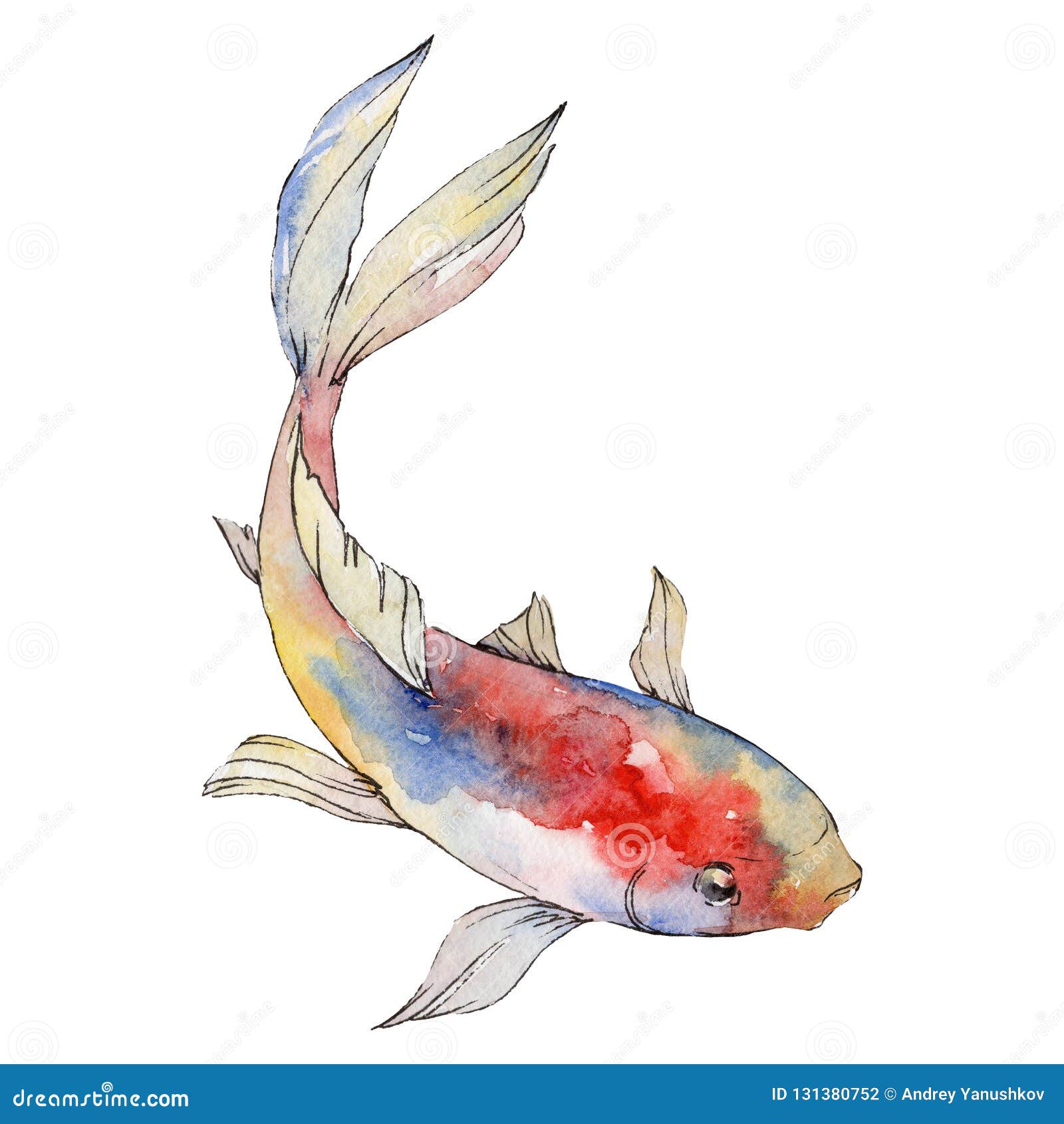 被隔绝的金鱼例证元素设置水彩背景的 纹理 封皮样式水彩画元素库存例证 插画包括有照亮 宠物 被隔绝的金鱼例证元素设置水彩背景的 纹理 封皮样式水彩画元素库存例证 插画包括有照亮 宠物