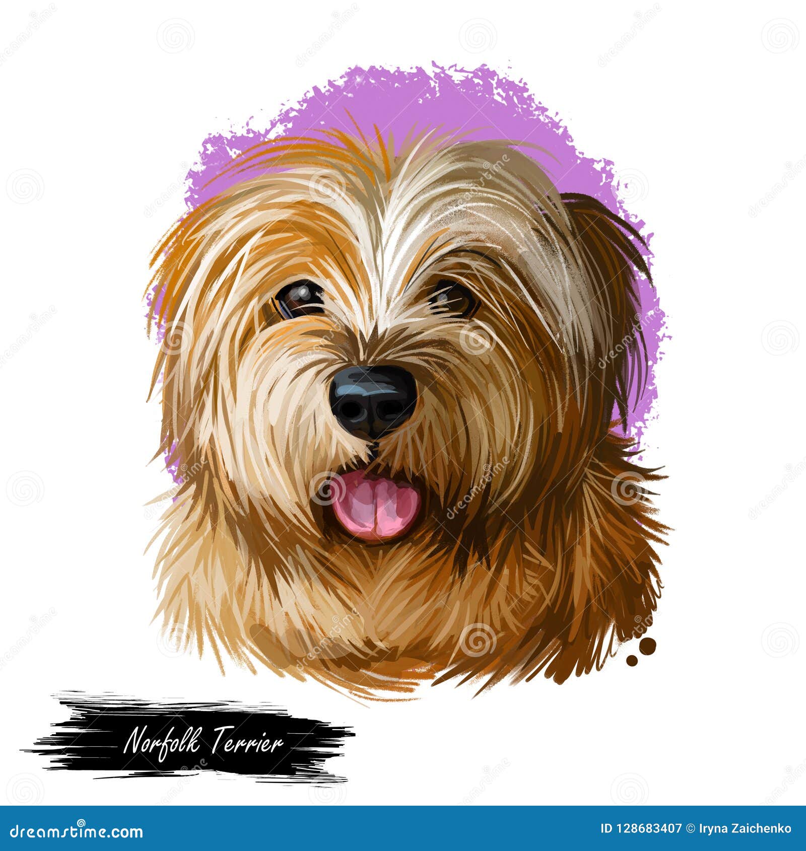 诺福克狗 天狼犬座familiaris数字式艺术水彩画象于大英国起源的狗 英国库存例证 插画包括有忠实 艺术 诺福克狗 天狼犬座familiaris数字式艺术水彩画象于大英国起源的狗 英国库存例证 插画包括有忠实 艺术