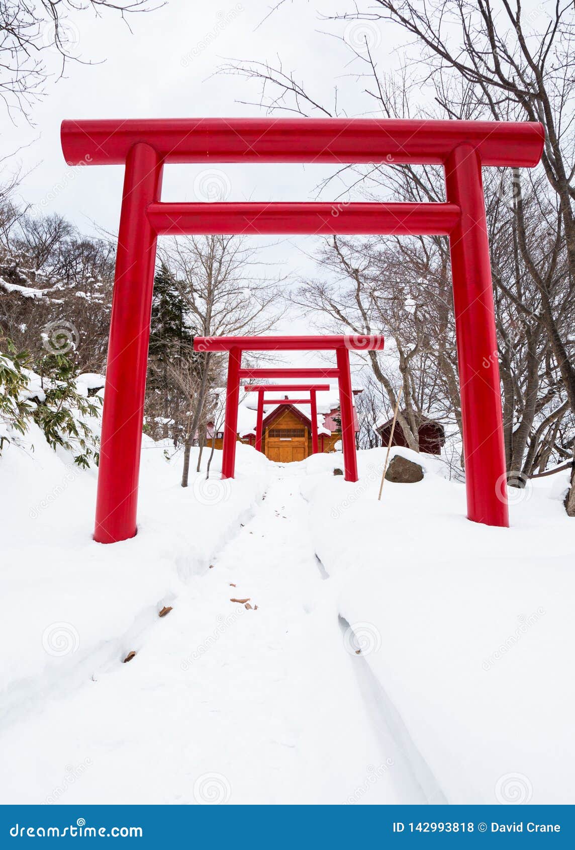 路通过对佛教寺庙的雪在北海道 日本海岛上库存照片 图片包括有室外 神圣 发芽 活动家 拱道