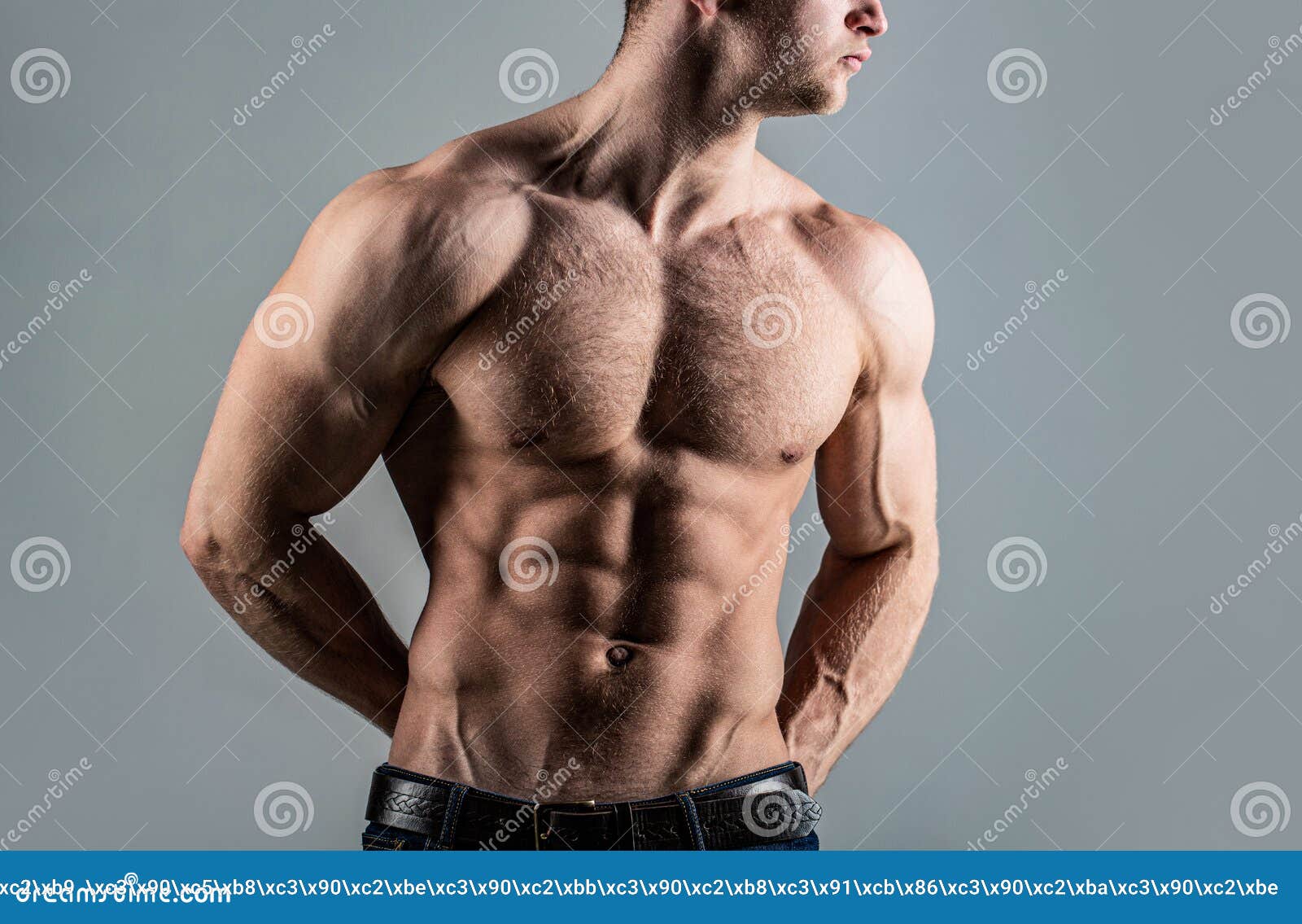 躯干上有6块腹肌 Abs和biceps 强悍的野蛮人 性感躯干 帅气的大肌肉男库存图片 图片包括有体育运动 有吸引力的