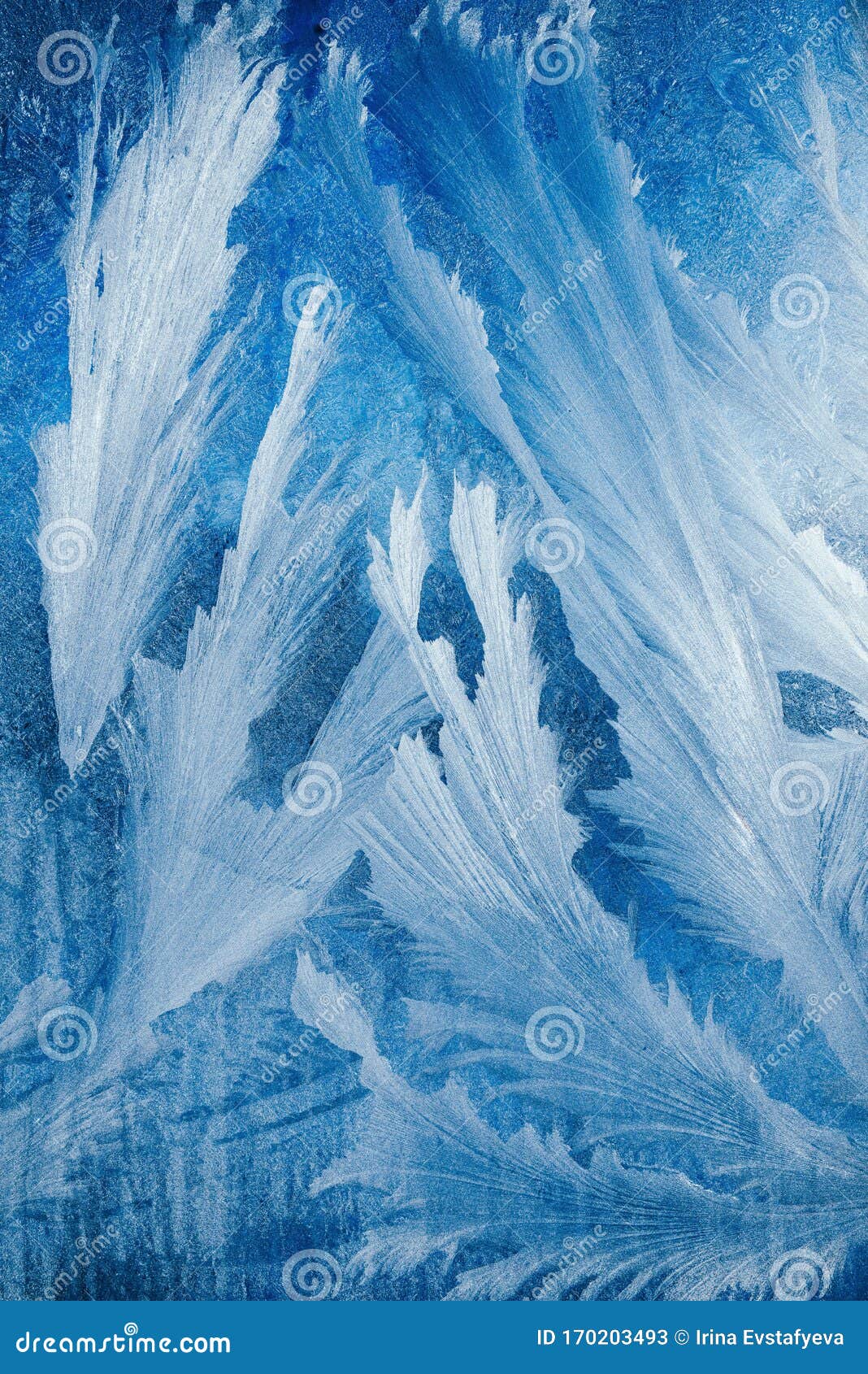 透明背景上的冷冻图案背景浅蓝冬寒冷天气库存图片 图片包括有背景浅蓝冬 透明背景上的冷冻图案