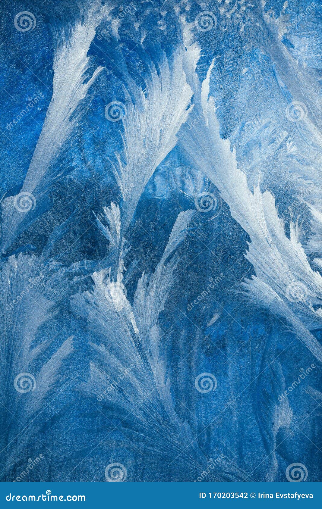 透明背景上的冷冻图案背景浅蓝冬寒冷天气库存照片 图片包括有冷静 宏指令 模式 特写镜头