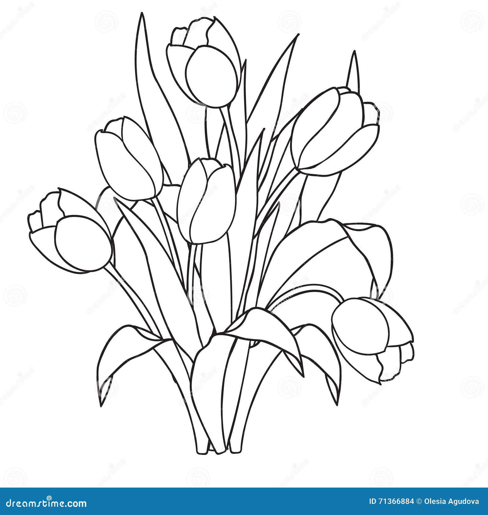 郁金香 花 装饰黑白着色页向量例证 插画包括有线路 工厂 夏天 向量 装饰 玻色子 艺术 郁金香 花 装饰黑白着色页向量例证 插画包括有线路 工厂 夏天 向量 装饰 玻色子 艺术