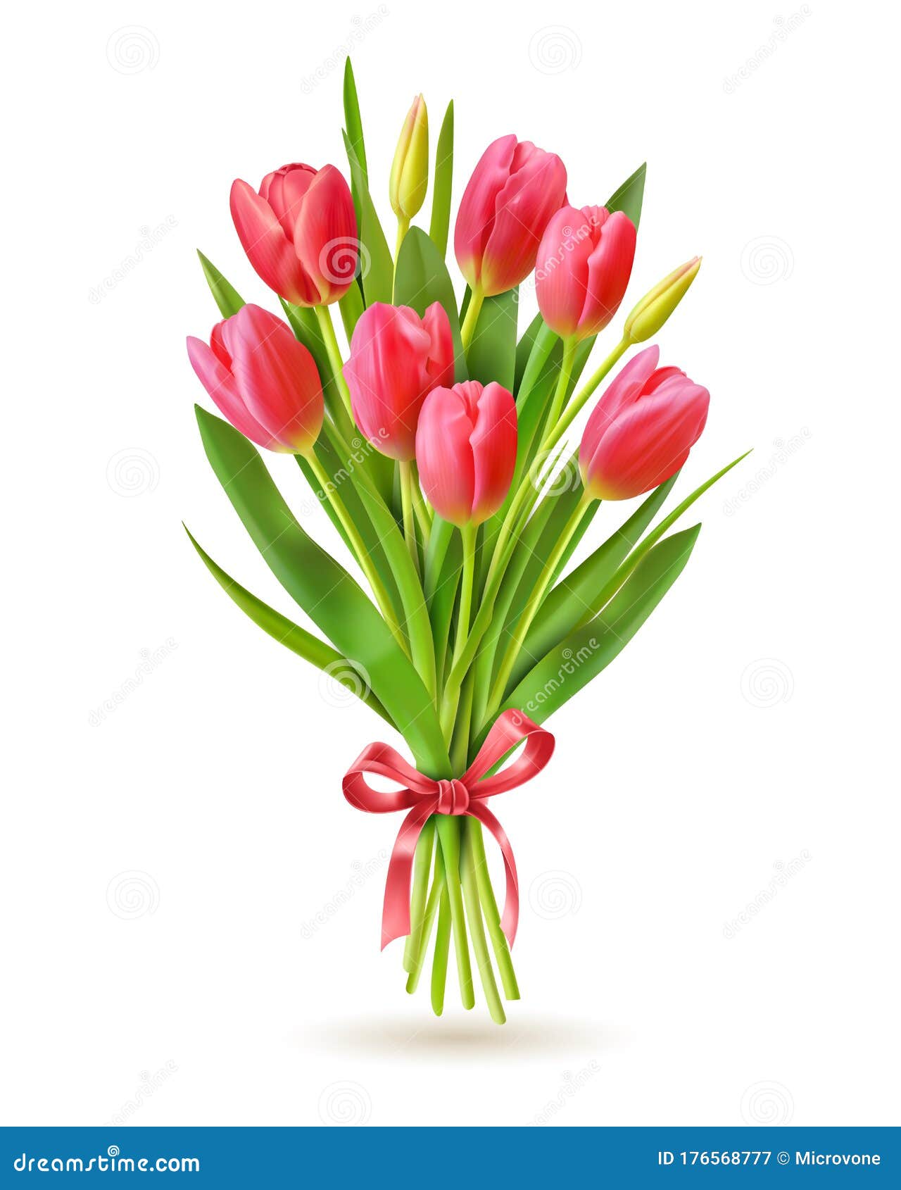 郁金香真实的3d春荷兰鲜花迎国际妇女节3月8日母亲和胜利日问候向量例证 插画包括有本质 高雅 郁金香真实的3d春荷兰鲜花迎国际妇女节3月8日母亲和胜利日问候向量例证 插画包括有本质 高雅