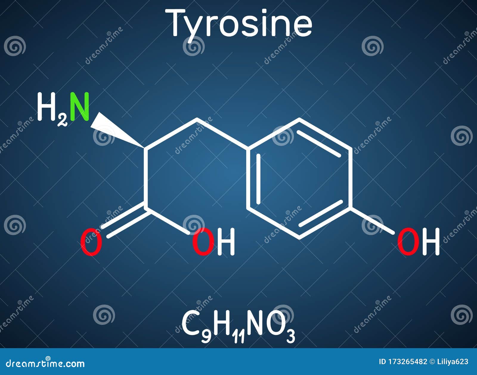 酪氨酸 L 酪氨酸 Tyr C9h11no3氨基酸分子它在蛋白质合成中起着作用 是合成蛋白质的前体向量例证 插画包括有配方 化学 酪氨酸 L 酪氨酸 Tyr C9h11no3氨基酸分子它在蛋白质合成中起着作用 是合成蛋白质的前体向量例证 插画包括有配方 化学