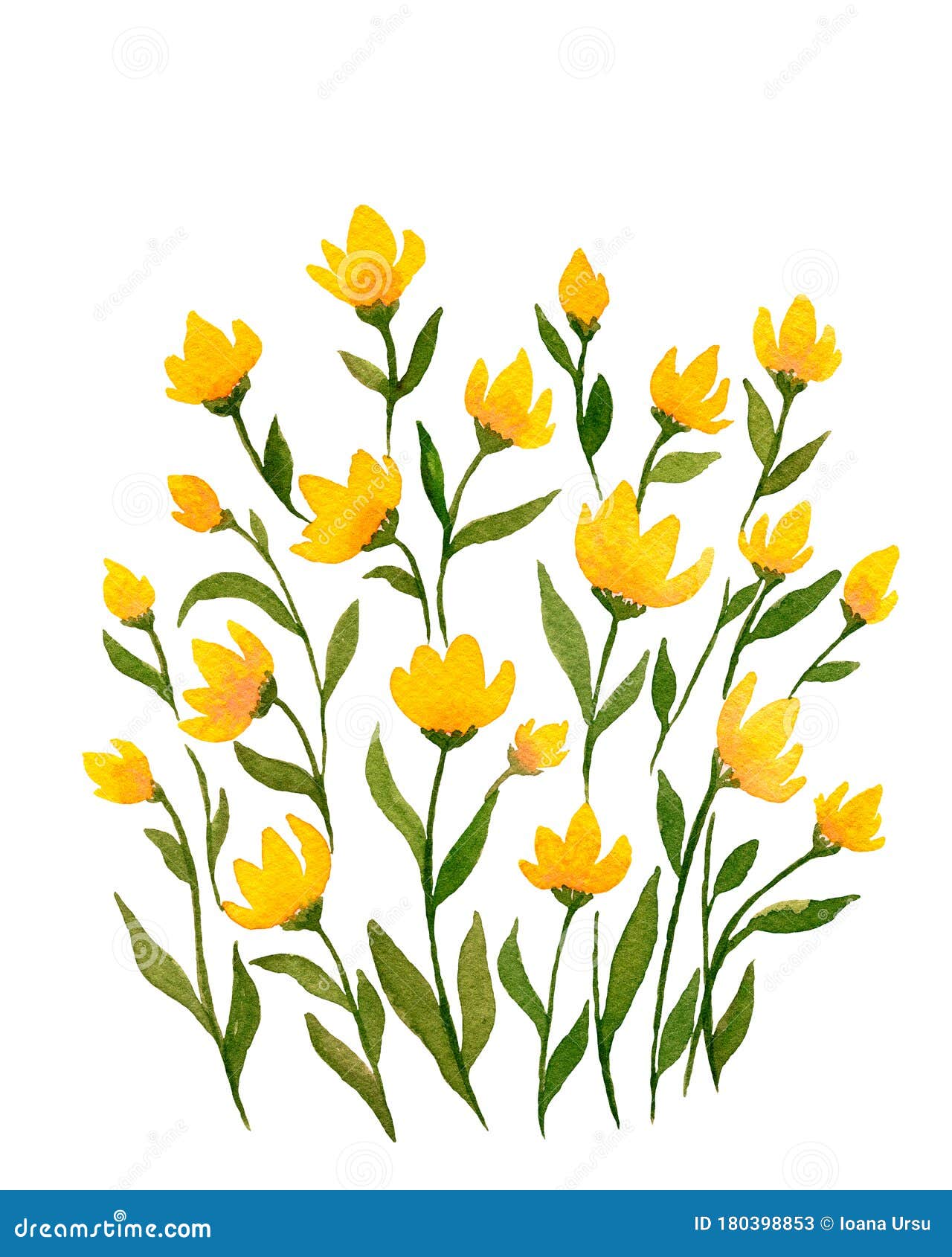 野生小黄花 春水色浅浅黄花 可爱的黄色花饰库存例证 插画包括有字段 例证 花瓣 工厂 织品 野生小黄花 春水色浅浅黄花 可爱的黄色花饰库存例证 插画包括有字段 例证 花瓣 工厂 织品