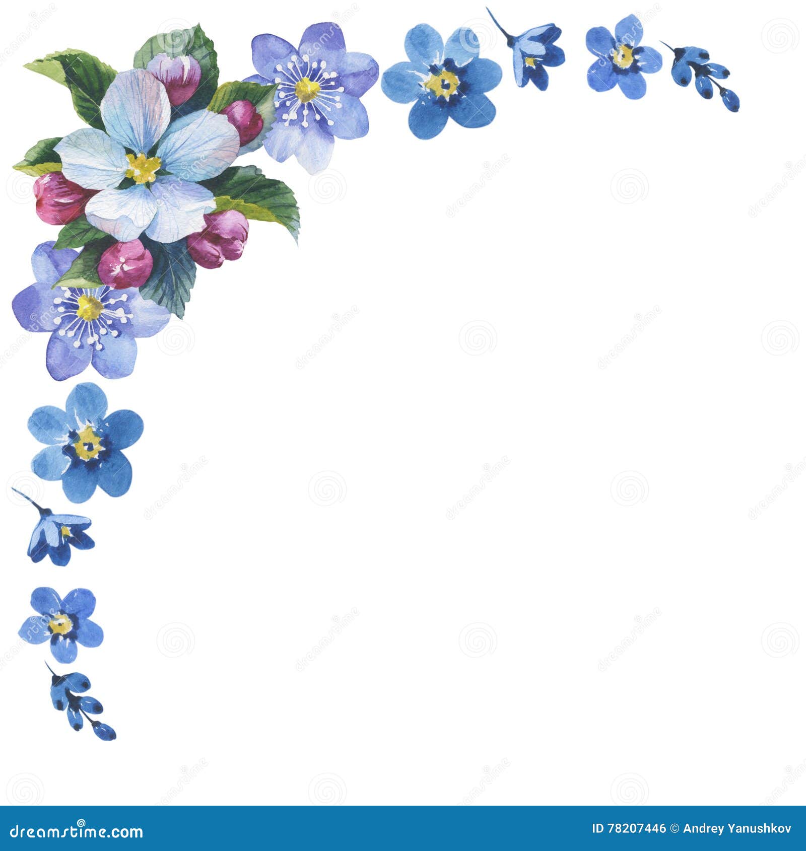 野花勿忘我草在水彩样式的花框架被隔绝的库存例证 插画包括有水彩 春天 植物群 花卉 通配 野花勿忘我草在水彩样式的花框架被隔绝的库存例证 插画包括有水彩 春天 植物群 花卉 通配