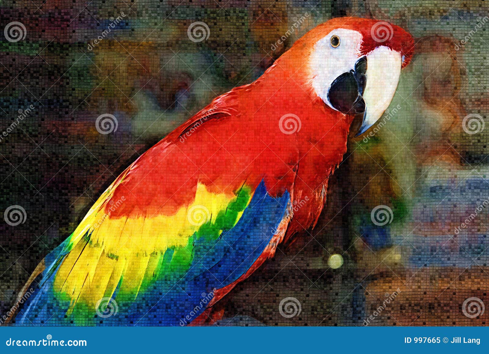 金刚鹦鹉绘画猩红色库存图片 图片包括有蓝色 鹦鹉 双翼飞机 黄色 鸟舍 红色 空白 金刚鹦鹉