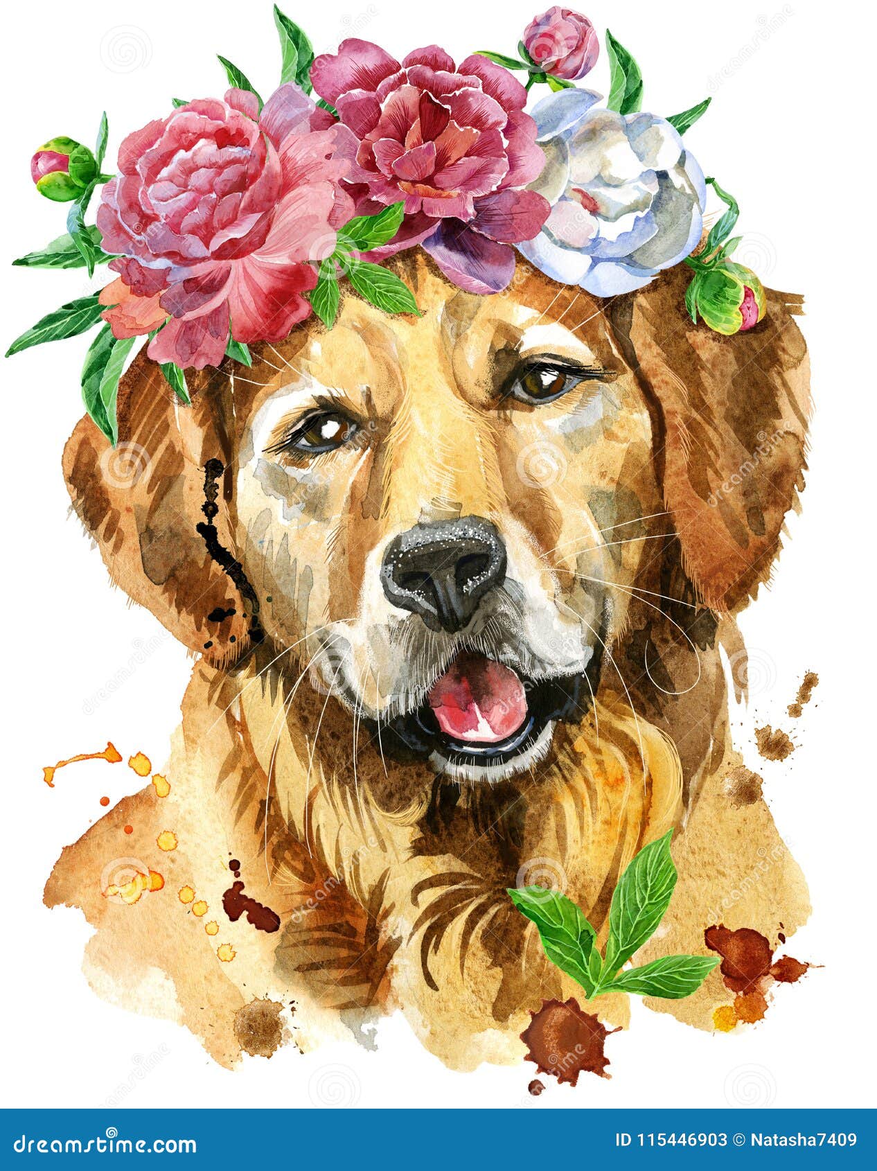 金毛猎犬水彩画象与花的库存例证 插画包括有小狗 金黄 牡丹 例证 查出 设计 绘画 金毛猎犬水彩画象与花的库存例证 插画包括有小狗 金黄 牡丹 例证 查出 设计 绘画