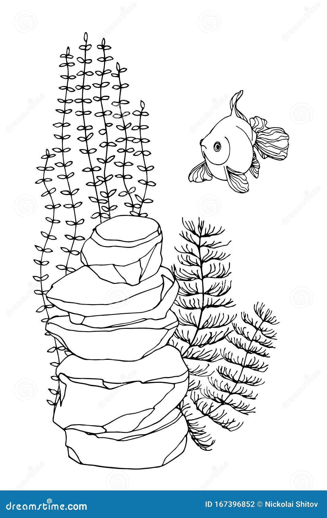 金鱼 鲤鱼及一套水族馆内元素 藻类 装饰石向量例证 插画包括有水族馆 查出 工厂 敌意 要素