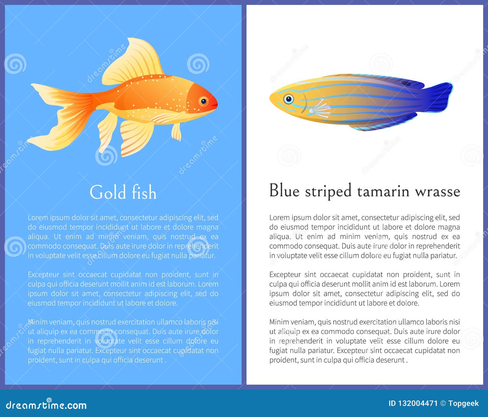 金鱼和蓝色镶边绢毛猴濑鱼象向量例证 插画包括有图标 水生 蓝色 设计 五颜六色 红色