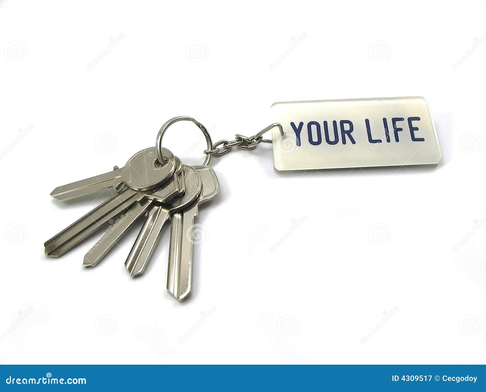 Life is a key