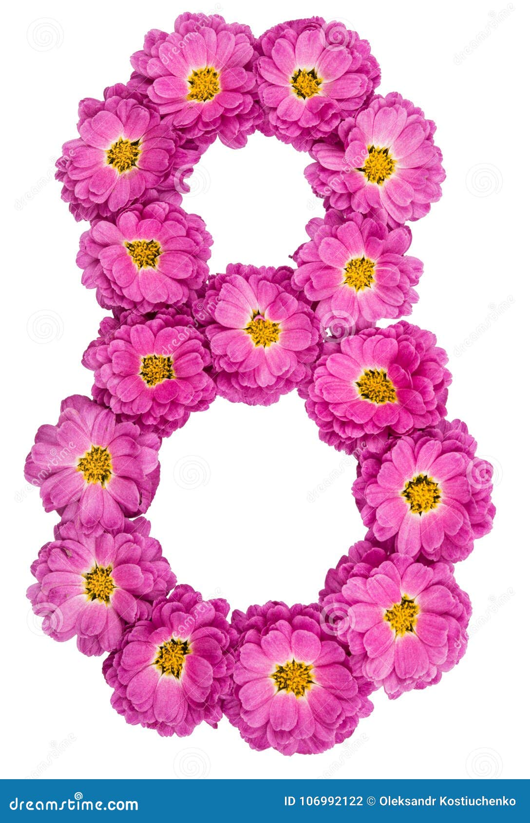 阿拉伯数字8 八 从菊花花 被隔绝库存照片 图片包括有 阿拉伯数字8 八 从菊花花 被隔绝库存照片 图片包括有