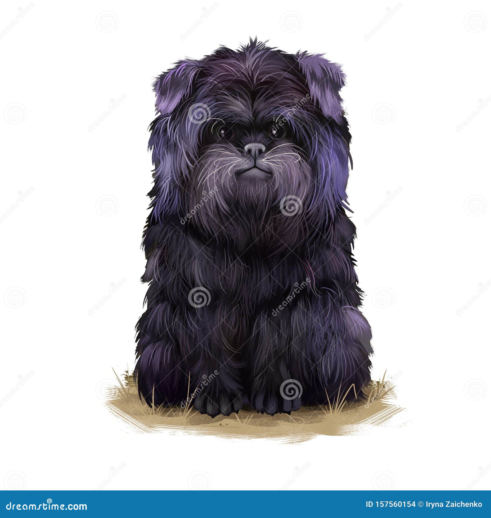 阿芬宾舍犬繁殖数字艺术图解的白色分离可爱的家畜纯种动物猴梗 是梗 库存例证 插画包括有 阿芬宾舍犬繁殖数字艺术图解的白色分离可爱的家畜纯种动物猴梗 是梗 库存例证 插画包括有