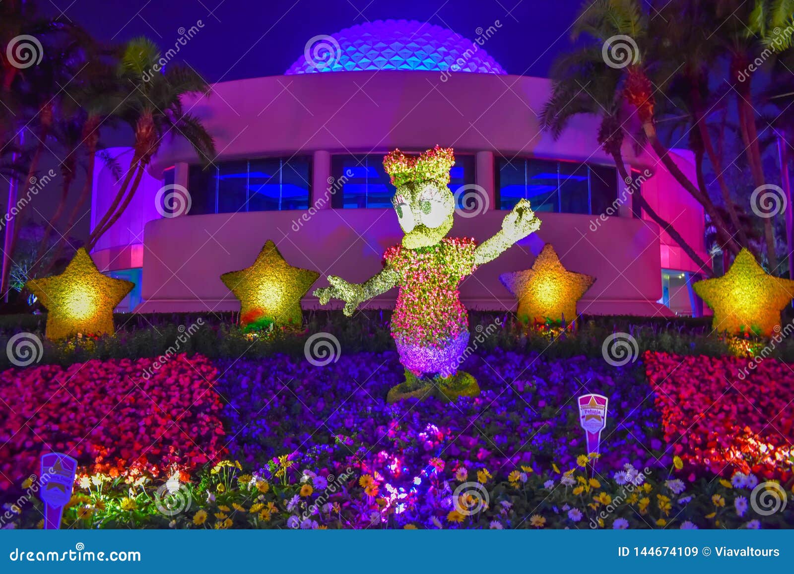 雏菊在五颜六色的背景的鸭子topiarie在epcot在华特 迪士尼世界编辑类库存图片 图片包括有雏菊在五颜六色的背景的鸭子topiarie在epcot在华特 迪士尼世界