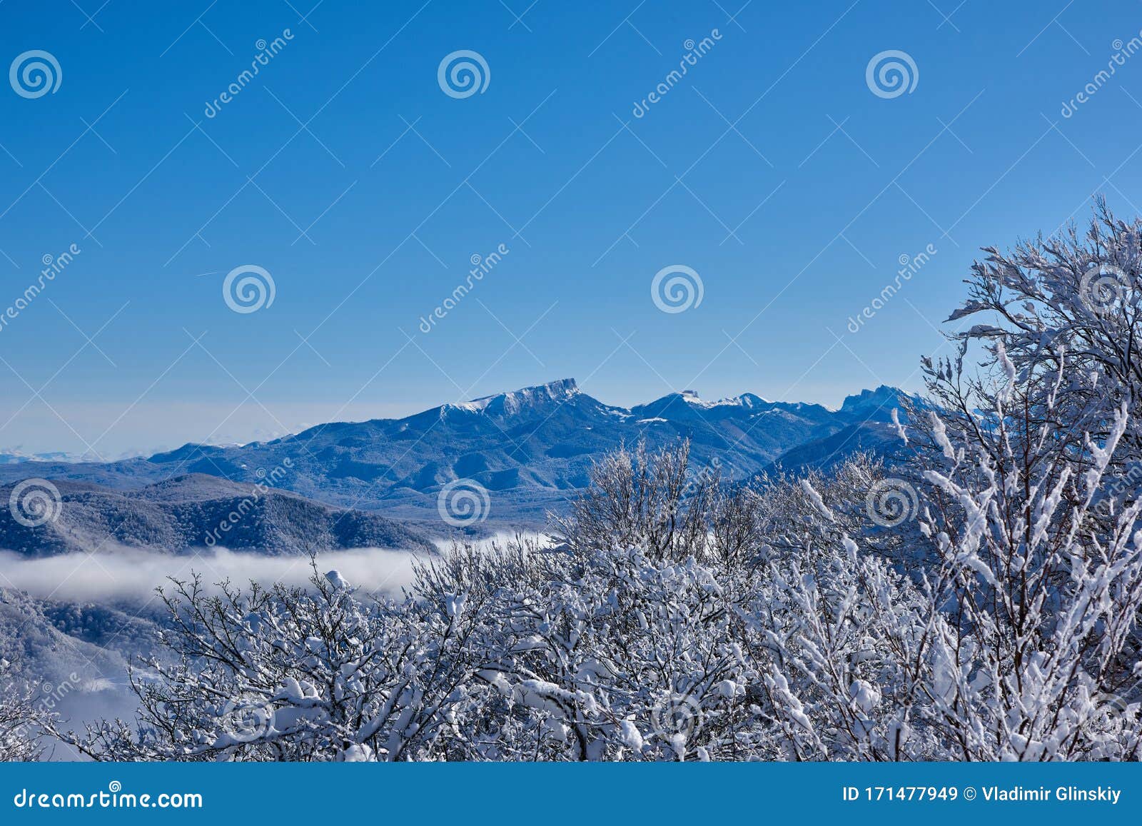 雪山背景中寒冬日的雪树库存图片 图片包括有雪山背景中寒冬日的雪树