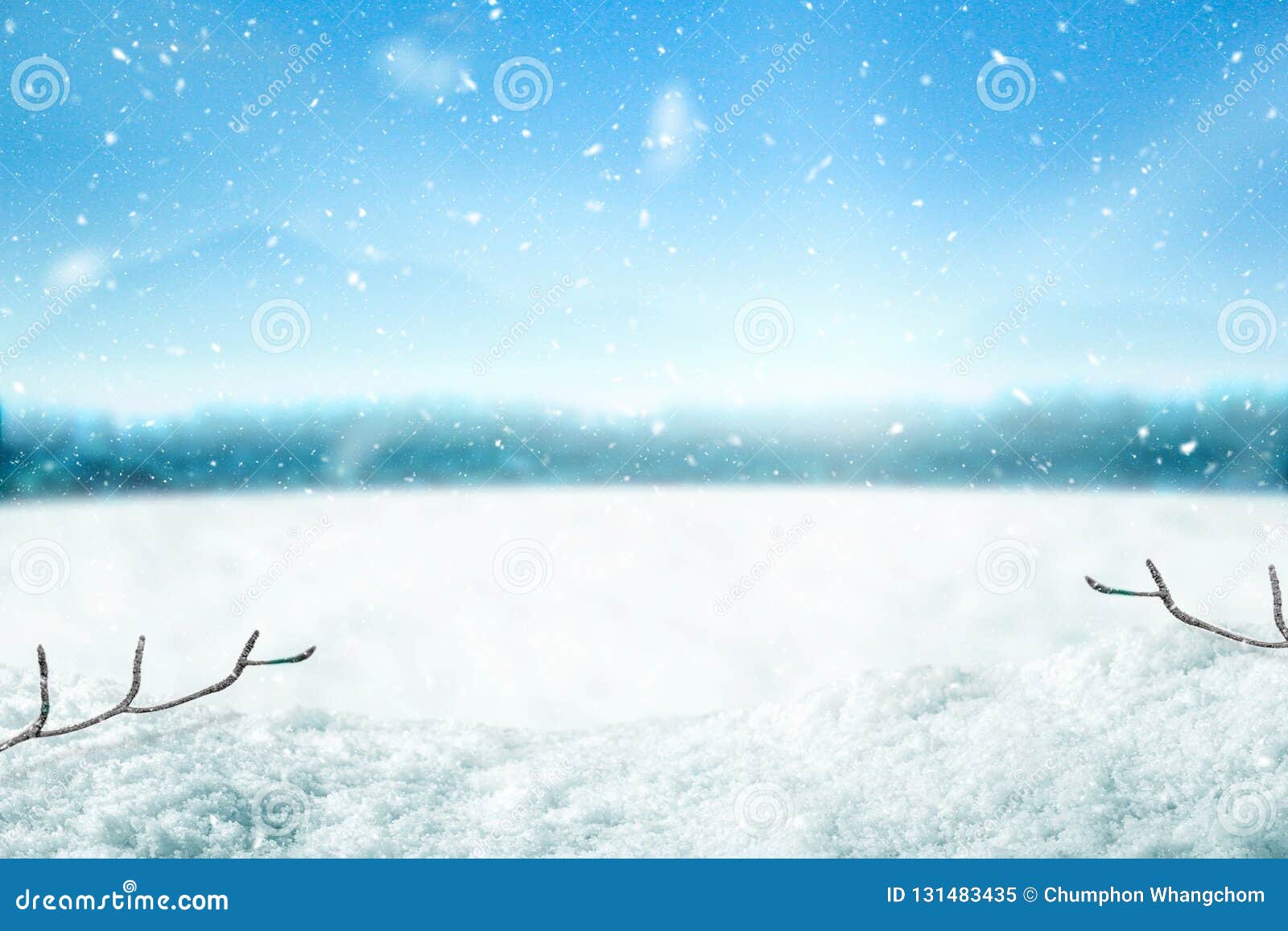 雪背景和树与阳光的冬天背景在早晨时间圣诞快乐和新年好库存图片 图片包括有 雪背景和树与阳光的冬天背景在早晨时间圣诞快乐和新年好库存图片 图片包括有