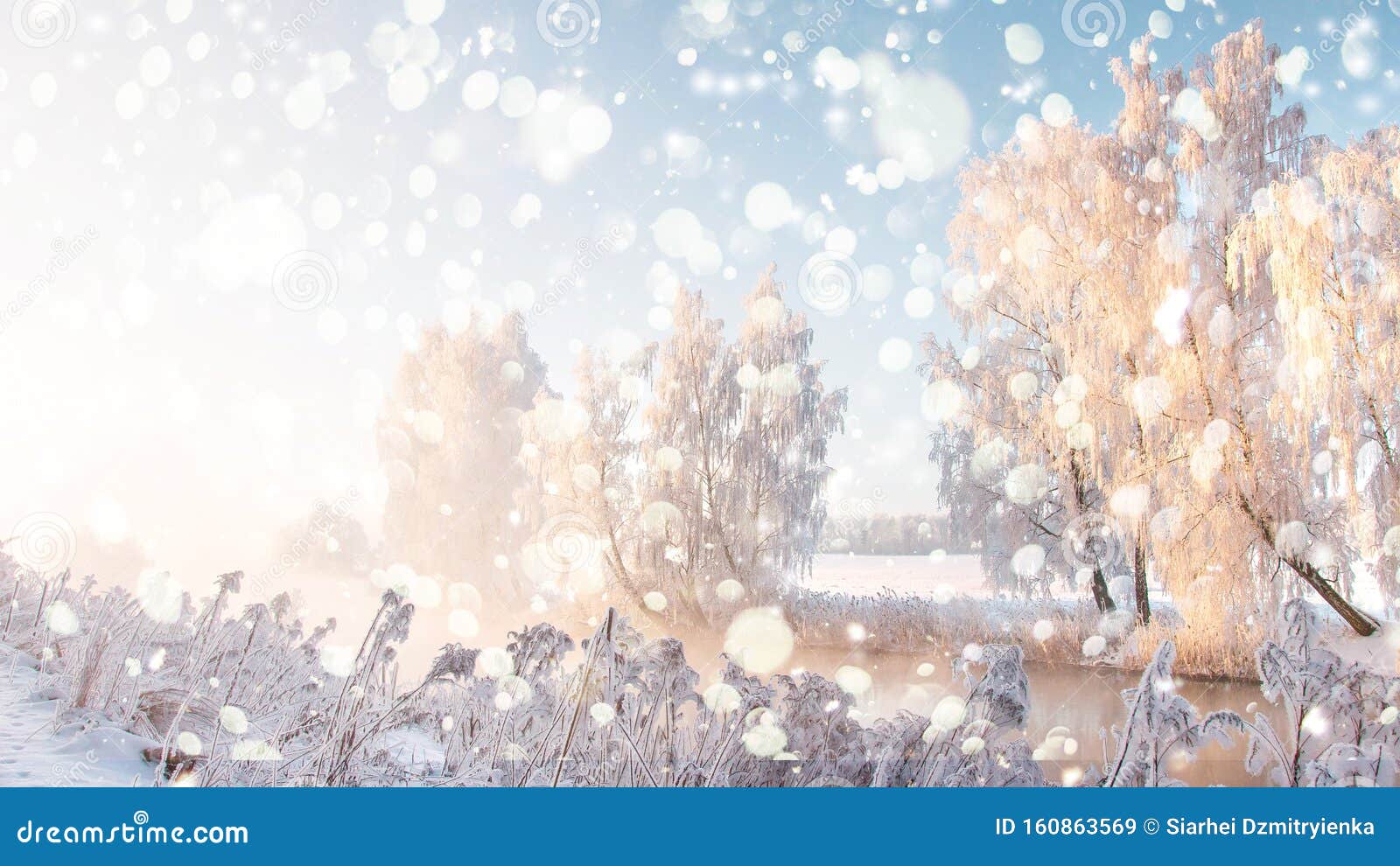 雪花飘落的圣诞假期背景雪景中的冬季自然景观阳光明媚的冬日早晨库存图片 图片包括有 雪花飘落的圣诞假期背景雪景中的冬季自然景观阳光明媚的冬日早晨库存图片 图片包括有
