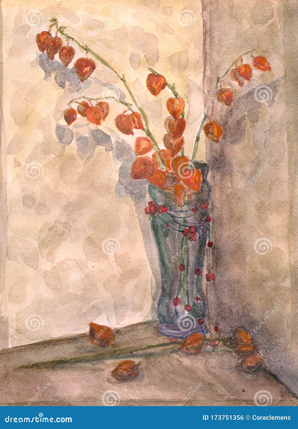 青花瓶中的蛹花水彩画库存例证 插画包括有色土 绘画 水彩 透明 花瓶 玻璃 蓝色 青花瓶中的蛹花水彩画库存例证 插画包括有色土 绘画 水彩 透明 花瓶 玻璃 蓝色