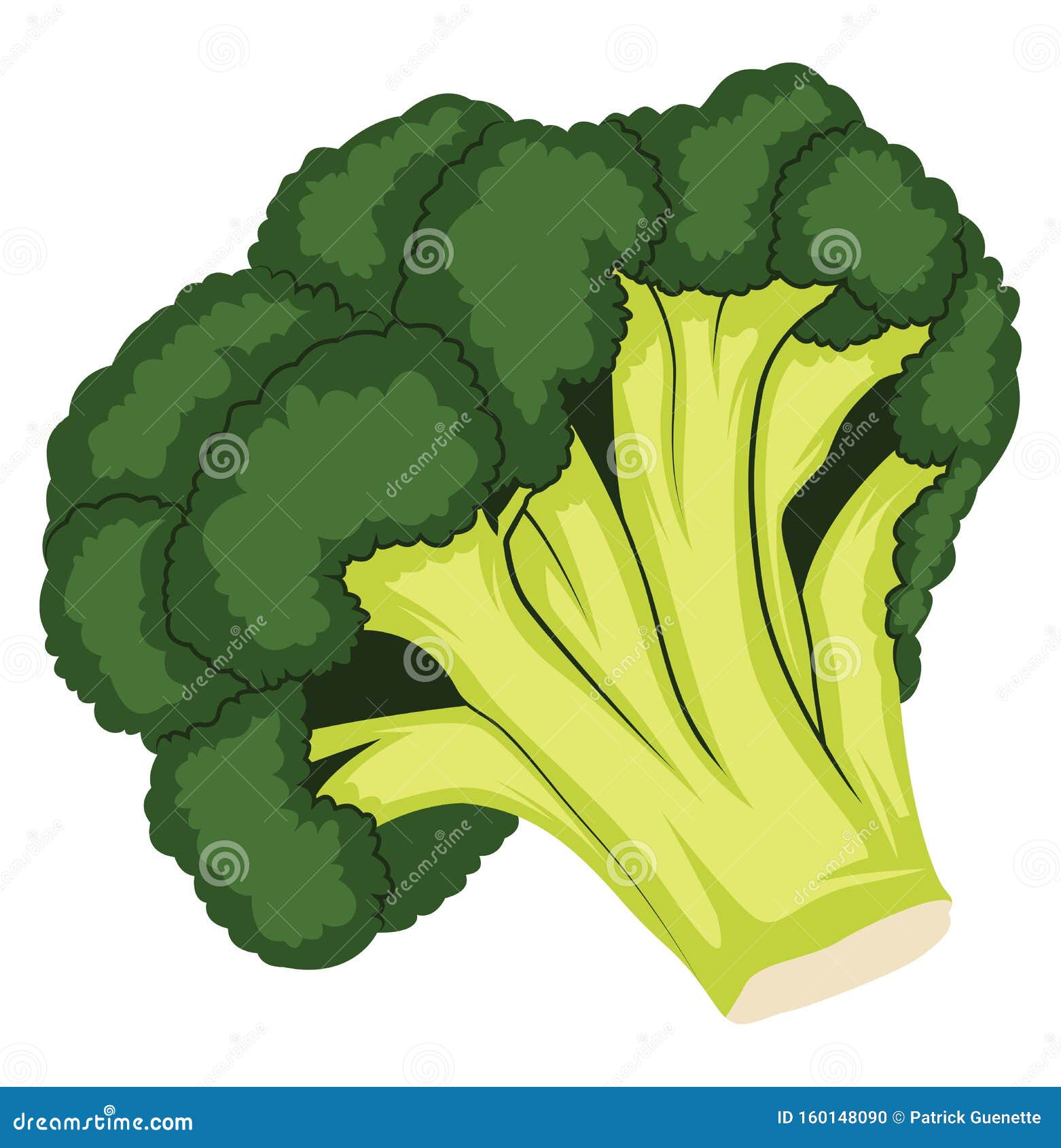 青花菜暗绿淡绿动画矢量图蔬菜插图向量例证 插画包括有健康 圆白菜 营养 烹调 绿色 成份