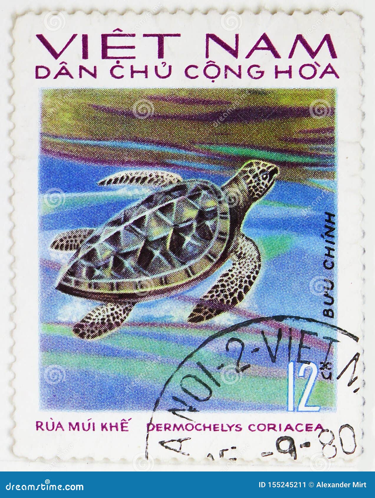 革龟海乌龟 Dermochelys Coriacea 爬行动物serie 大约1975年编辑类 革龟海乌龟 Dermochelys Coriacea 爬行动物serie 大约1975年编辑类