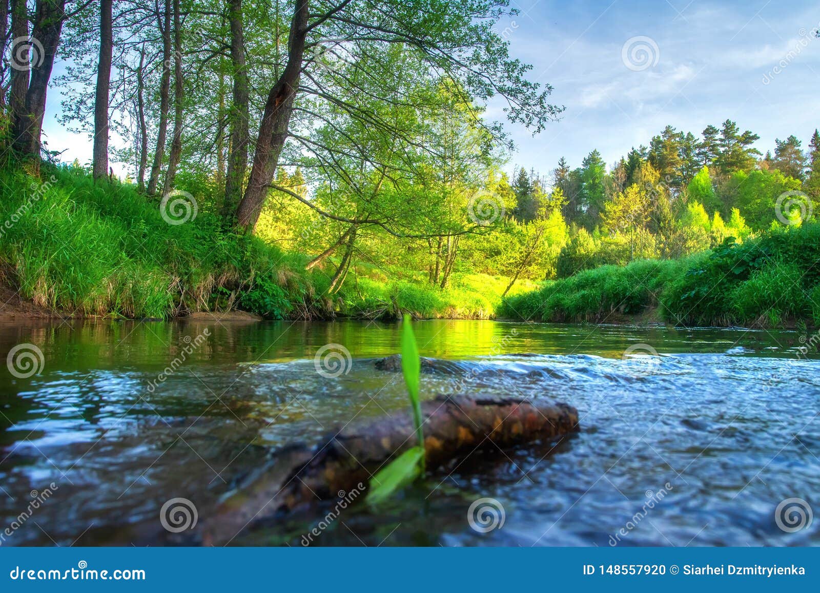 风景河沿夏天河绿色自然风景在河岸的美丽的景色库存照片 图片包括有旅行 河沿 自然 风景