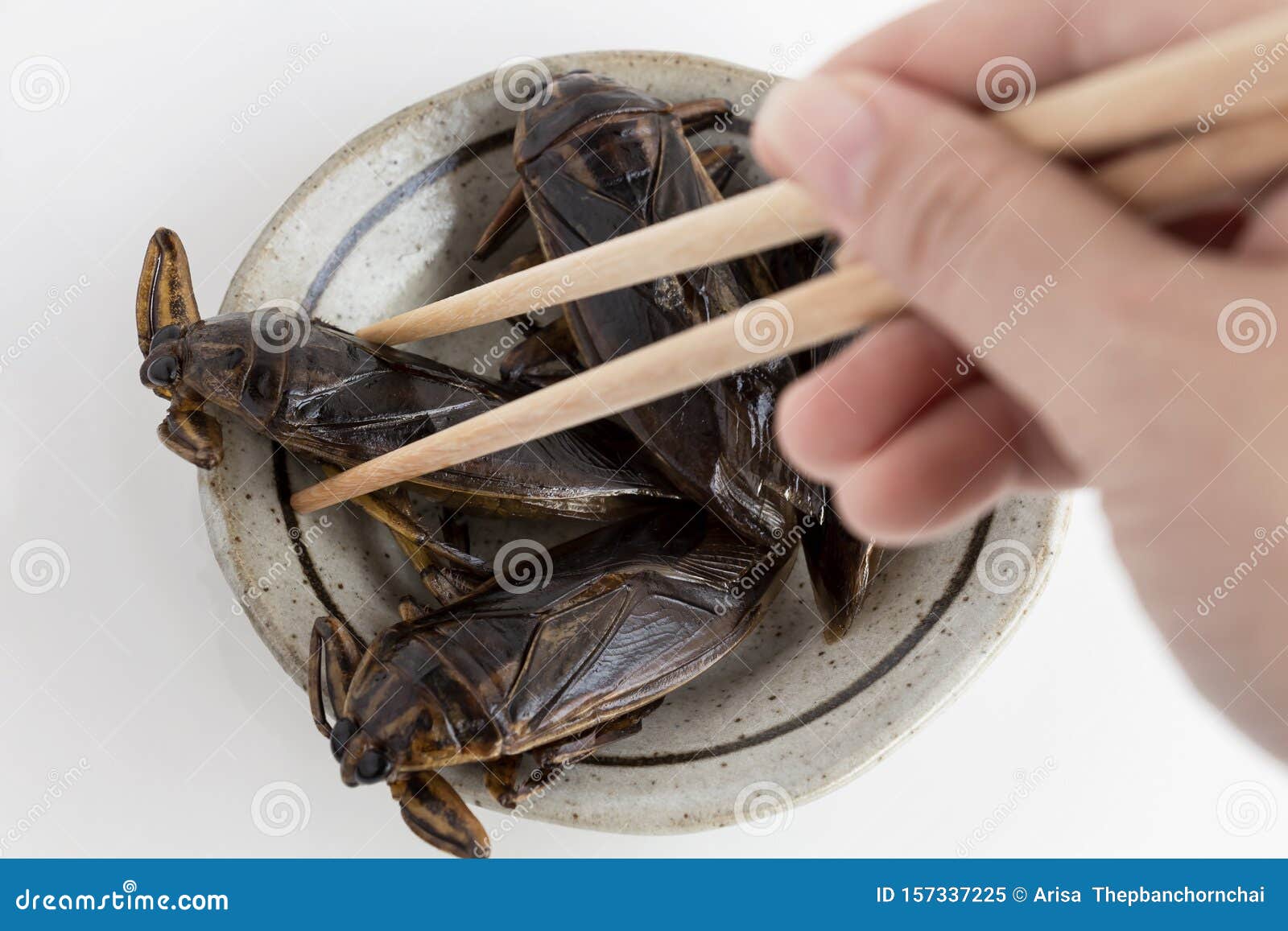 食物昆虫 女手抓大水虫是食用昆虫 食用昆虫油炸酥快餐库存图片 图片包括有