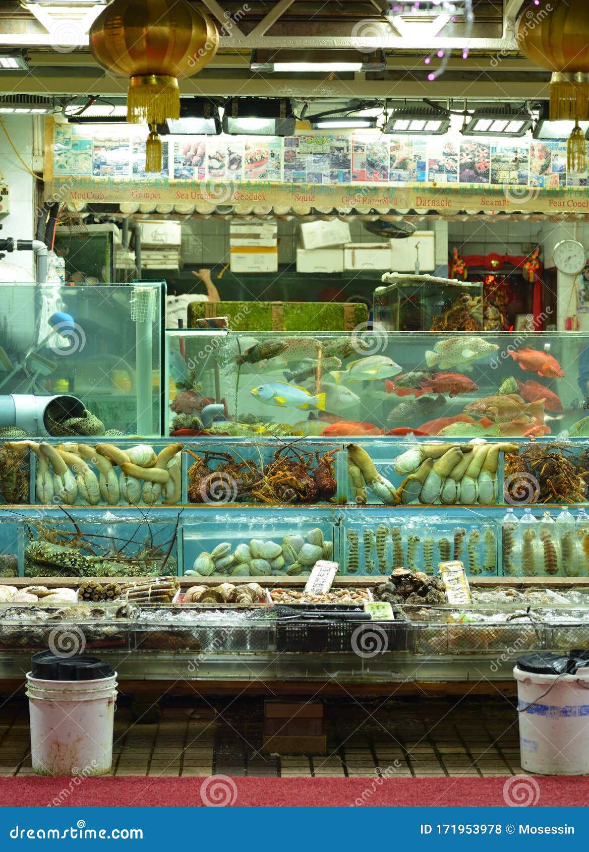 香港生海鲜市场编辑类库存照片 图片包括有石头 大虾 零售 食物 磷虾 金枪鱼 鳕鱼 香港生海鲜市场编辑类库存照片 图片包括有石头 大虾 零售 食物 磷虾 金枪鱼 鳕鱼