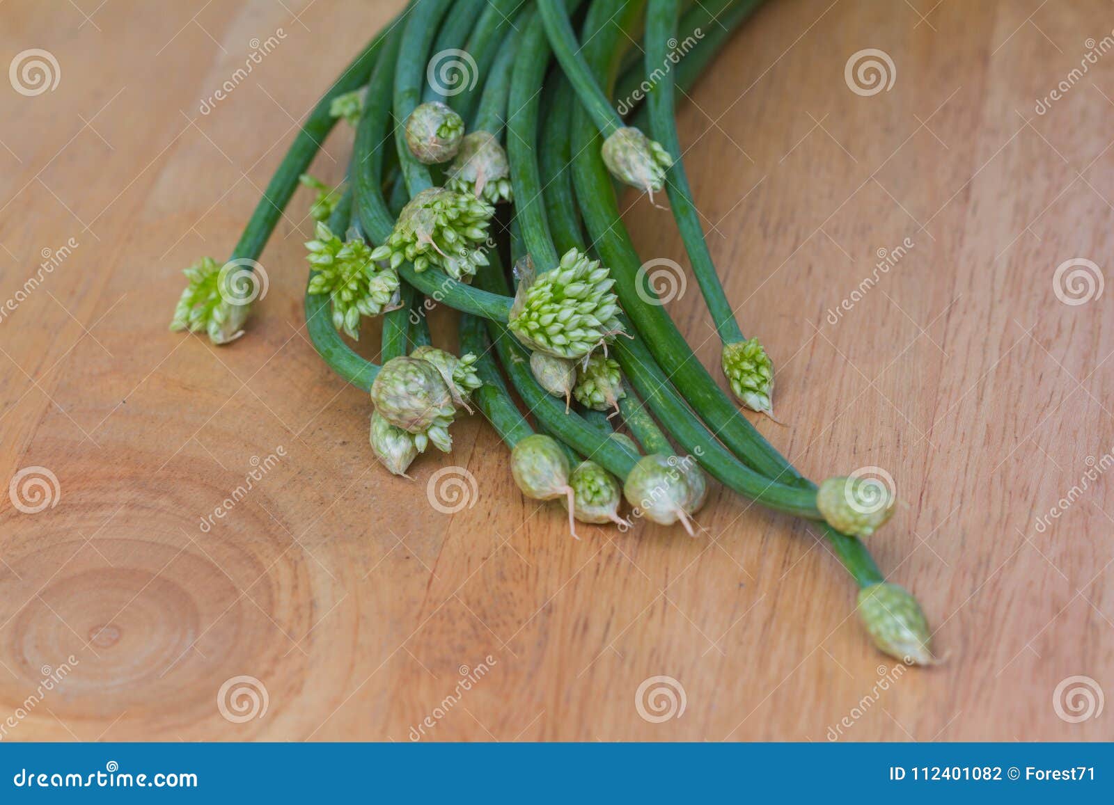 香葱花或中国香葱菜库存照片 图片包括有背包 问题的 原始 香葱 汉语 素食主义者 工厂 香葱花或中国香葱菜库存照片 图片包括有背包 问题的 原始 香葱 汉语 素食主义者 工厂